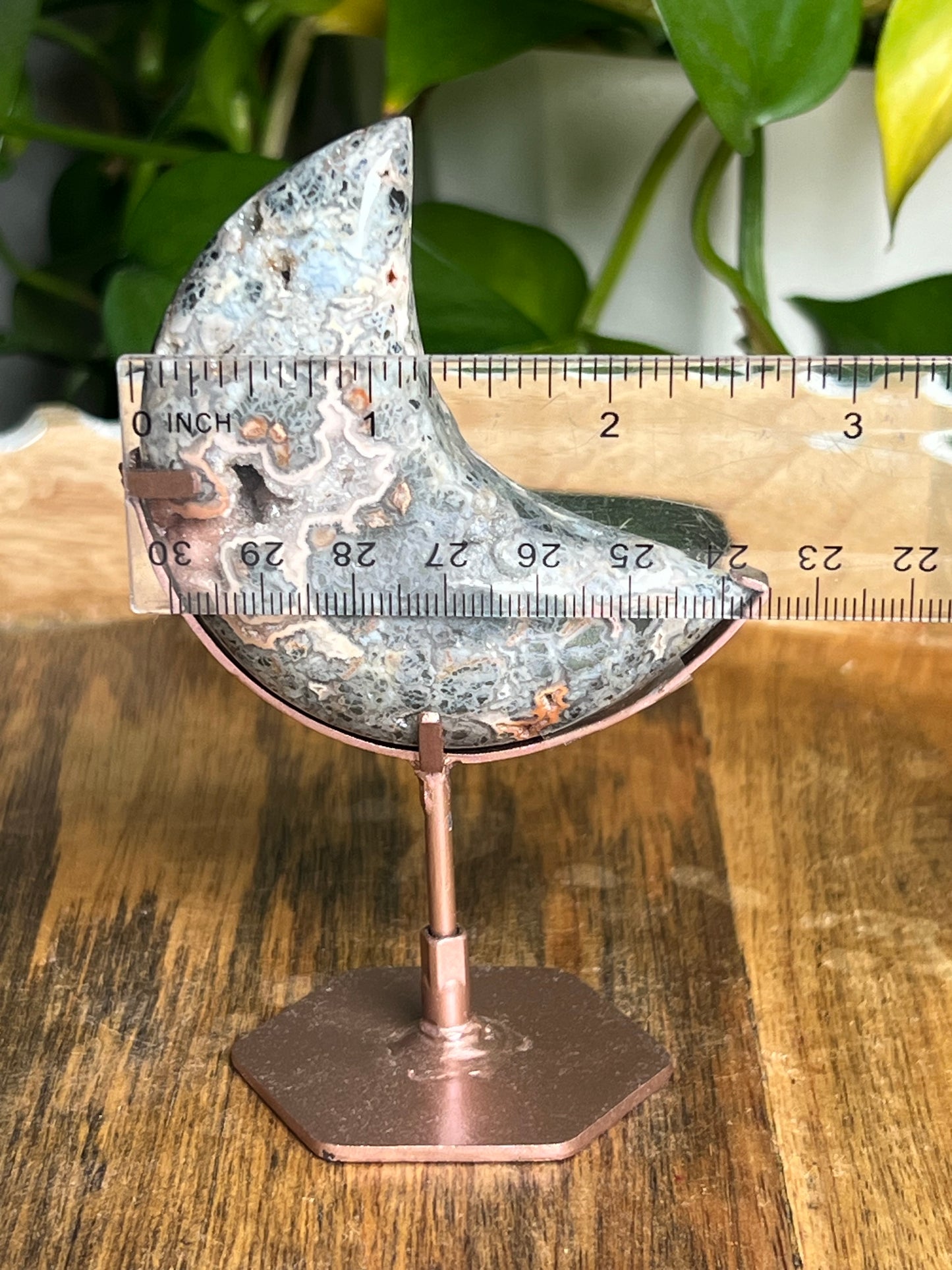 Marcasite Moon DN