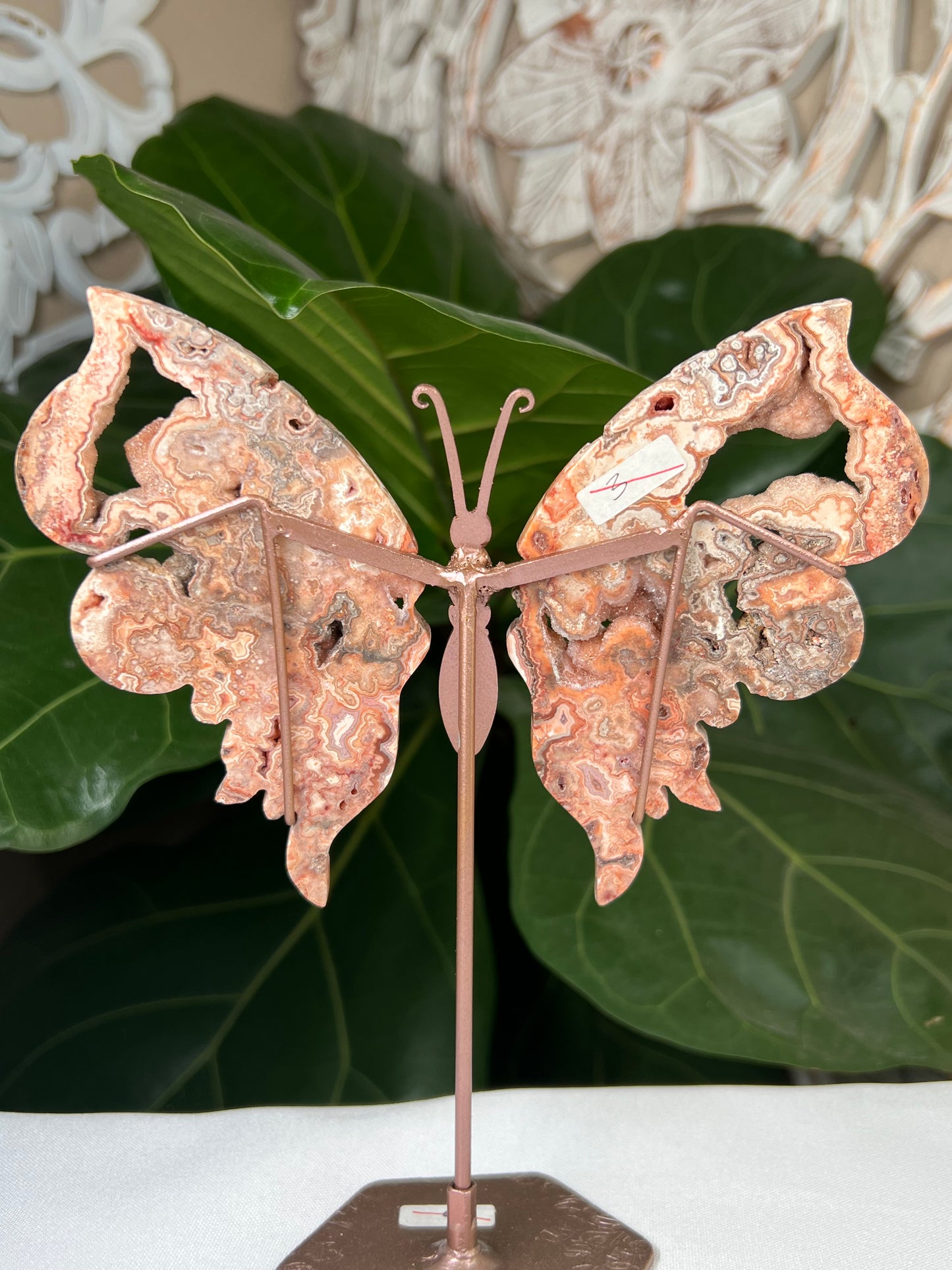 Crazy Lace Agate Wings