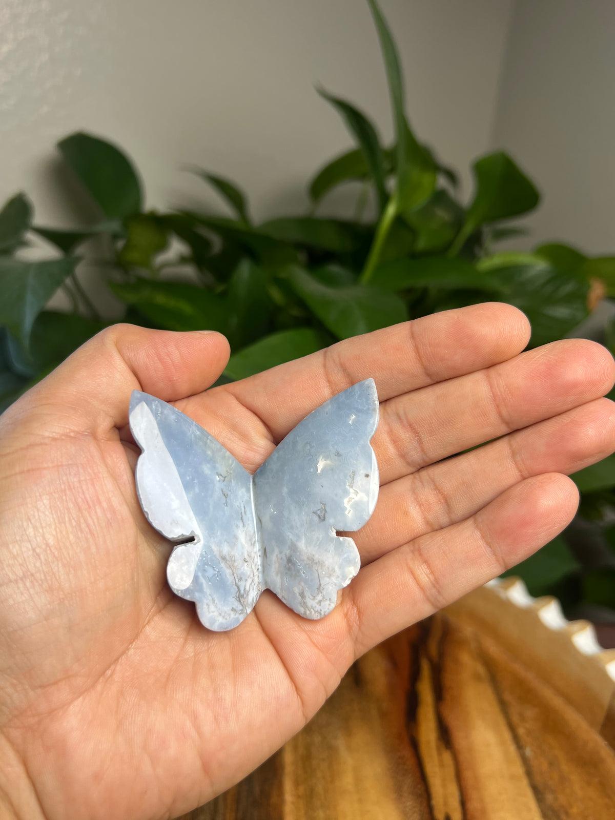 Blue Plume Agate 3D Butterfly: KB