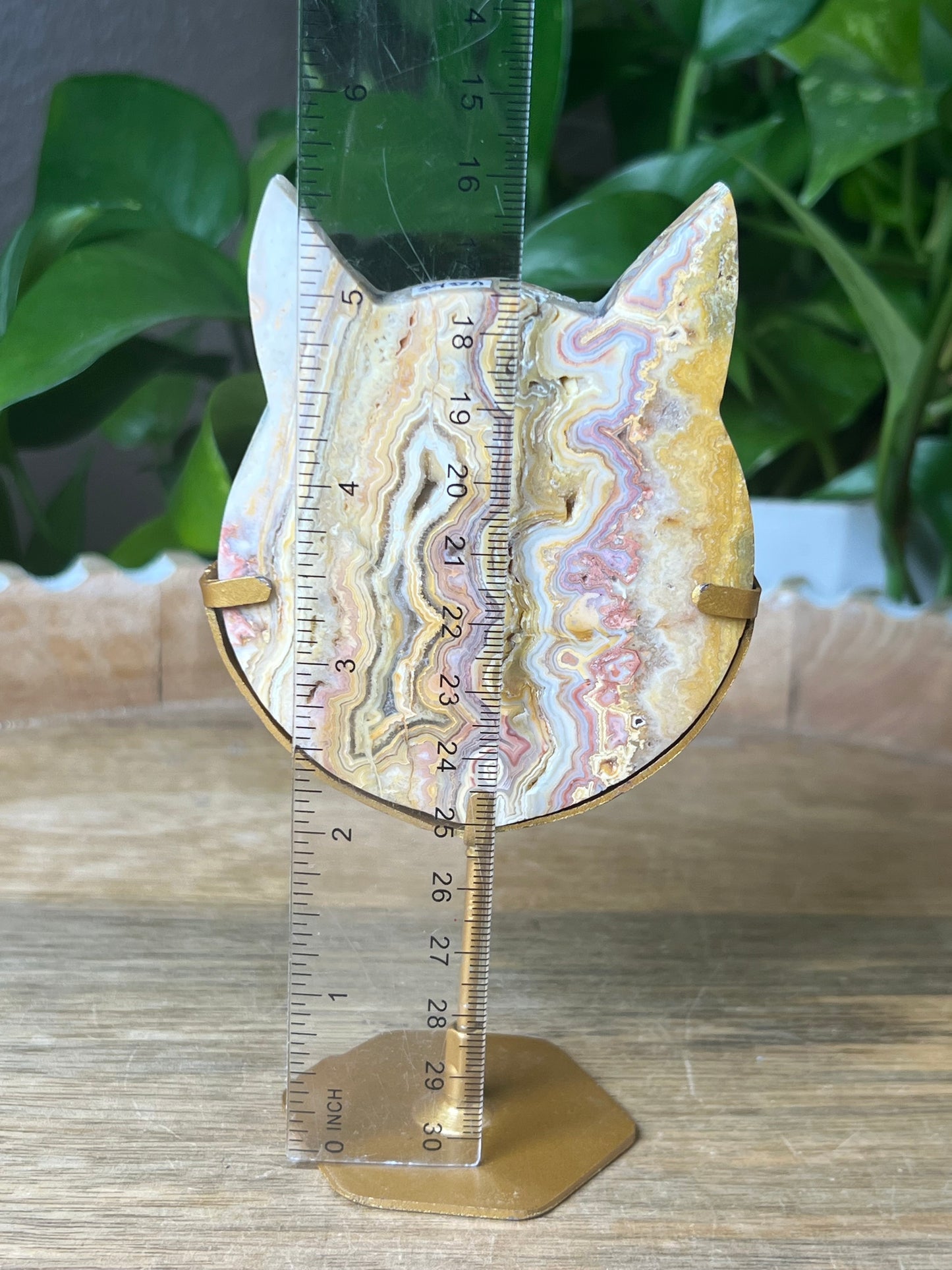 Crazy Lace Agate Cat