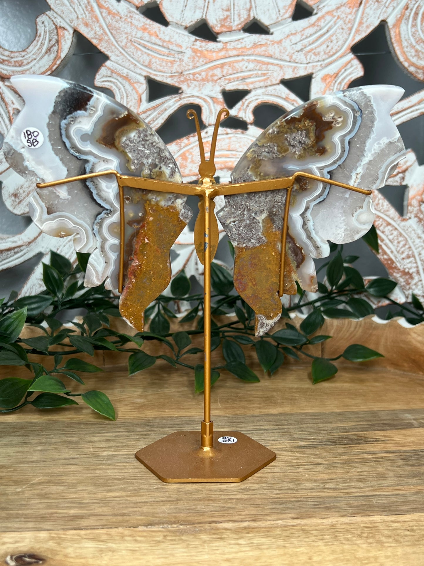 Scenic Moss Agate Wings