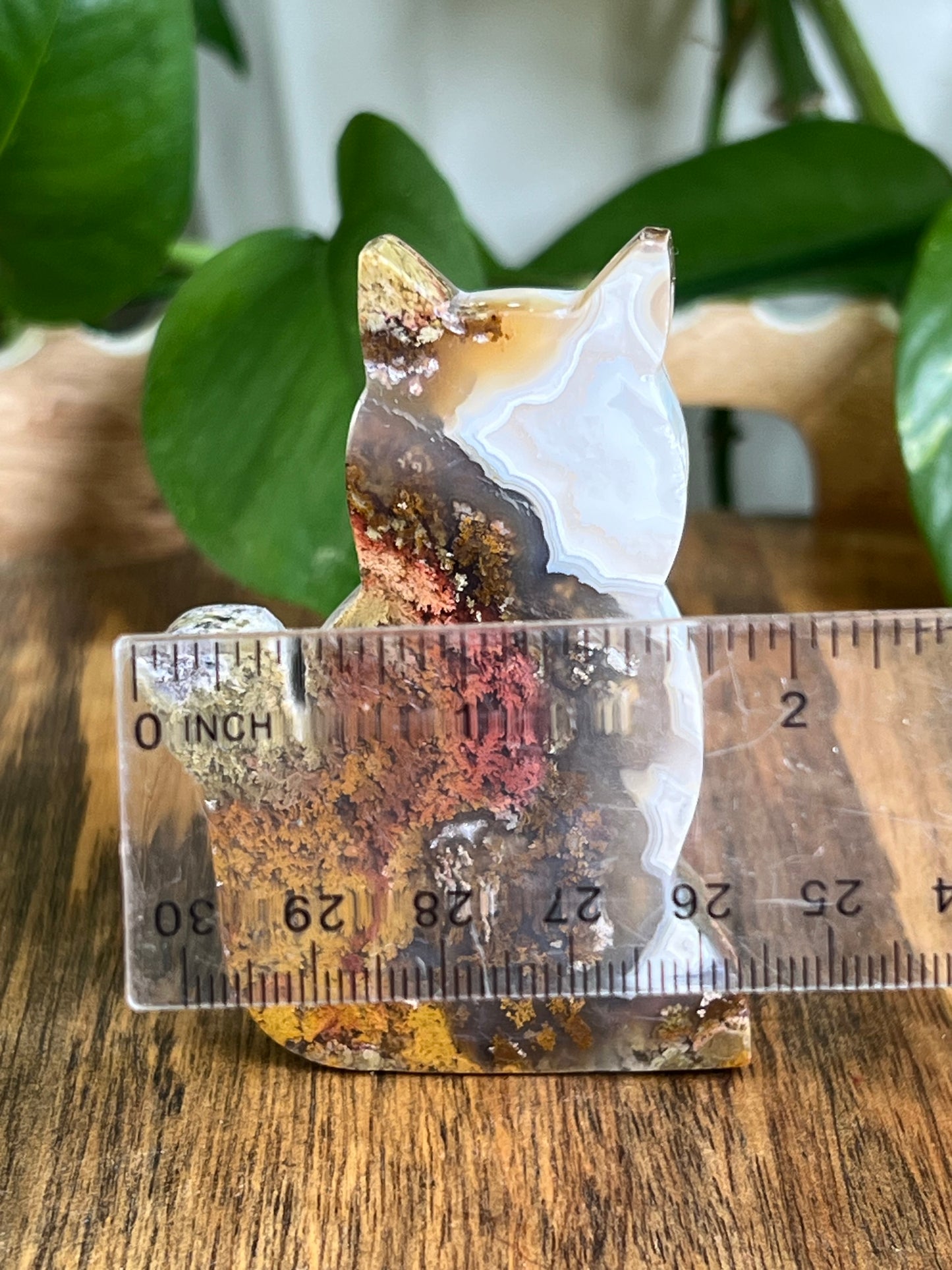Scenic Moss Agate Cat HF