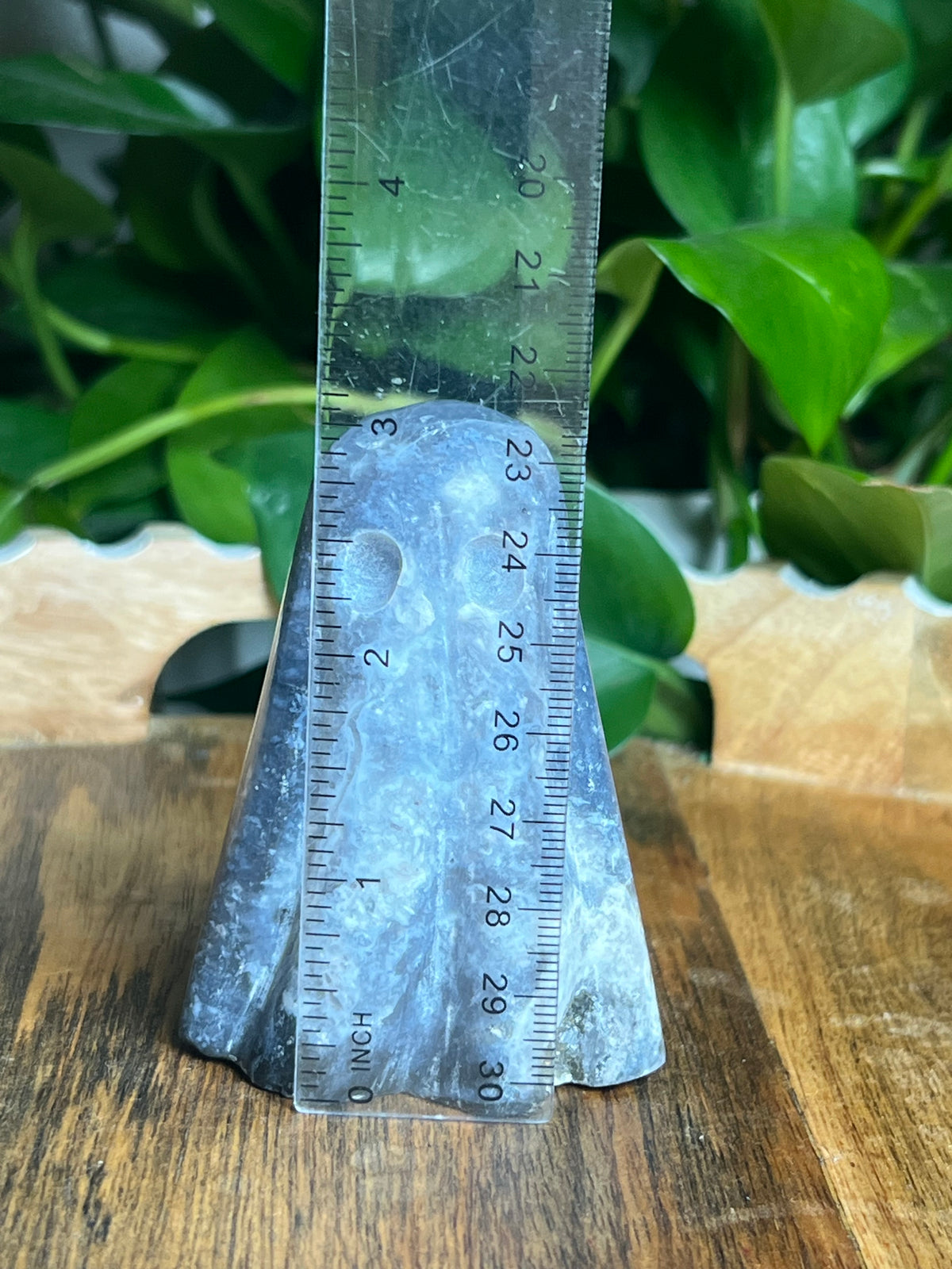 Blue Plume Agate Ghost: F