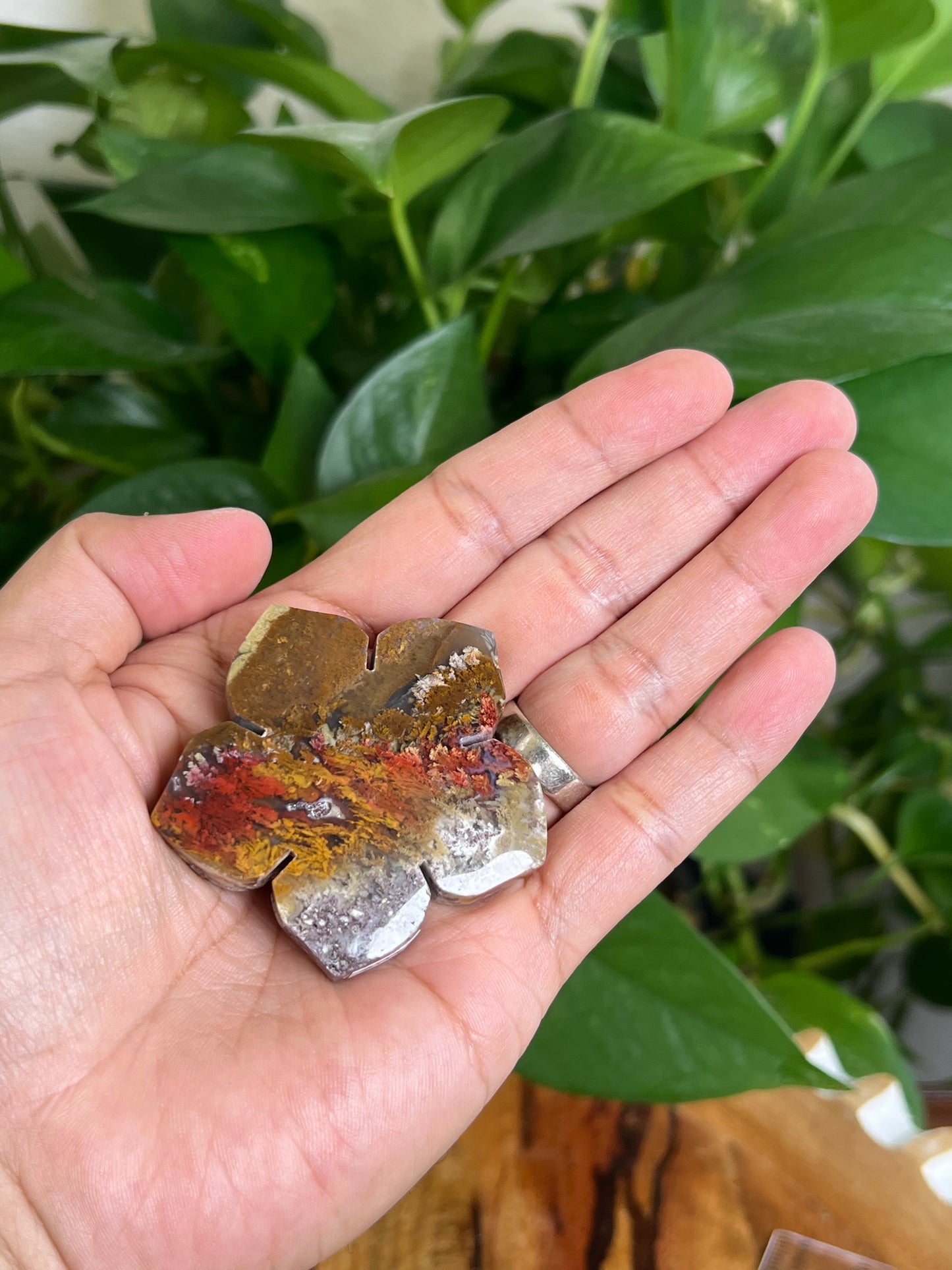 Scenic Moss Agate Flower NB