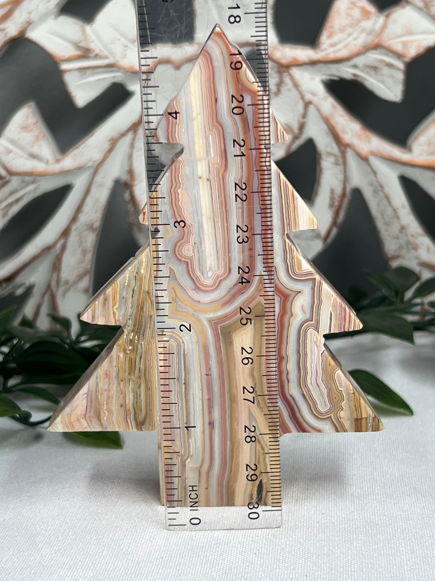 Crazy Lace Agate Tree