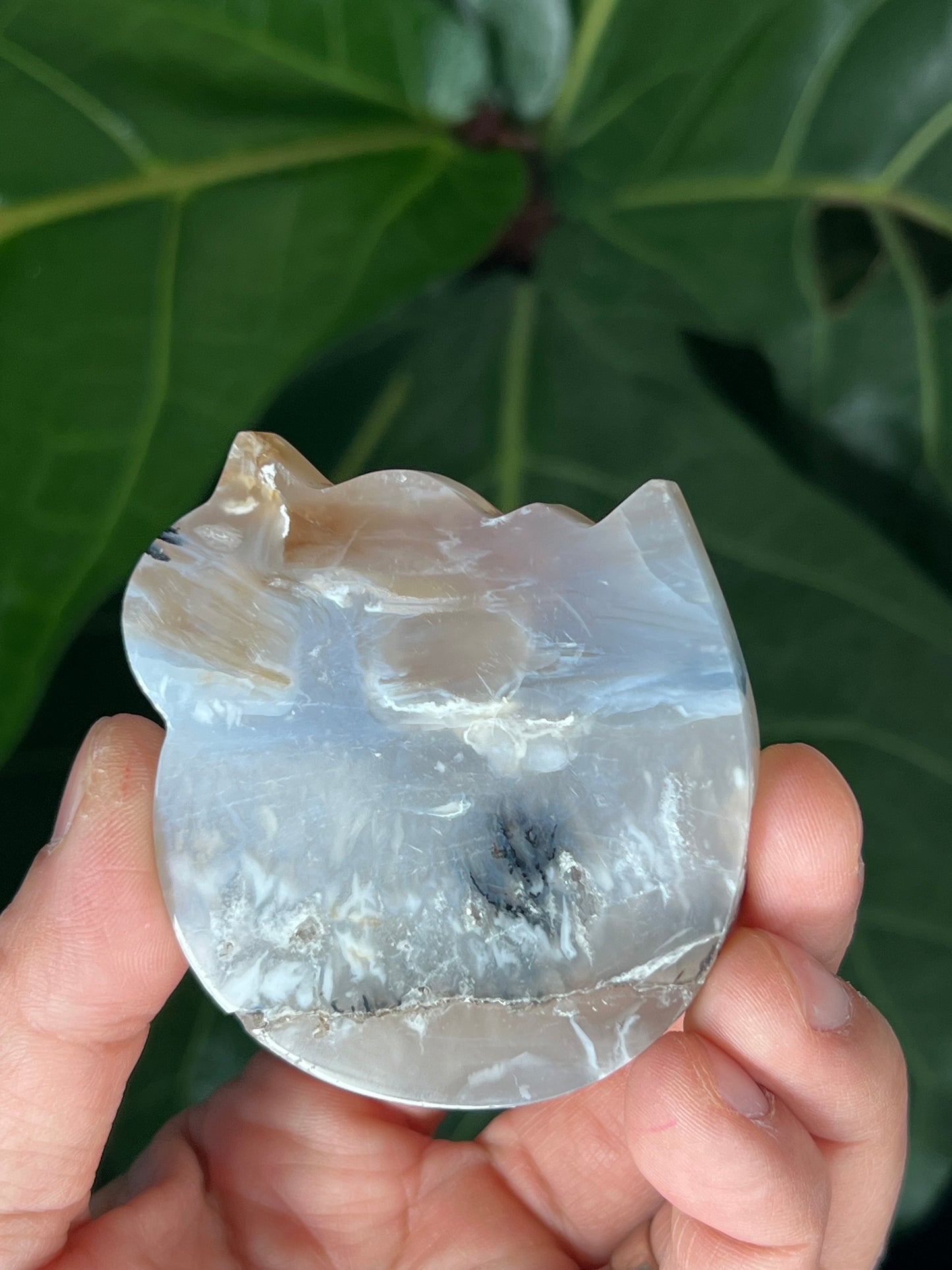 Tiger Dendritic Agate Cat