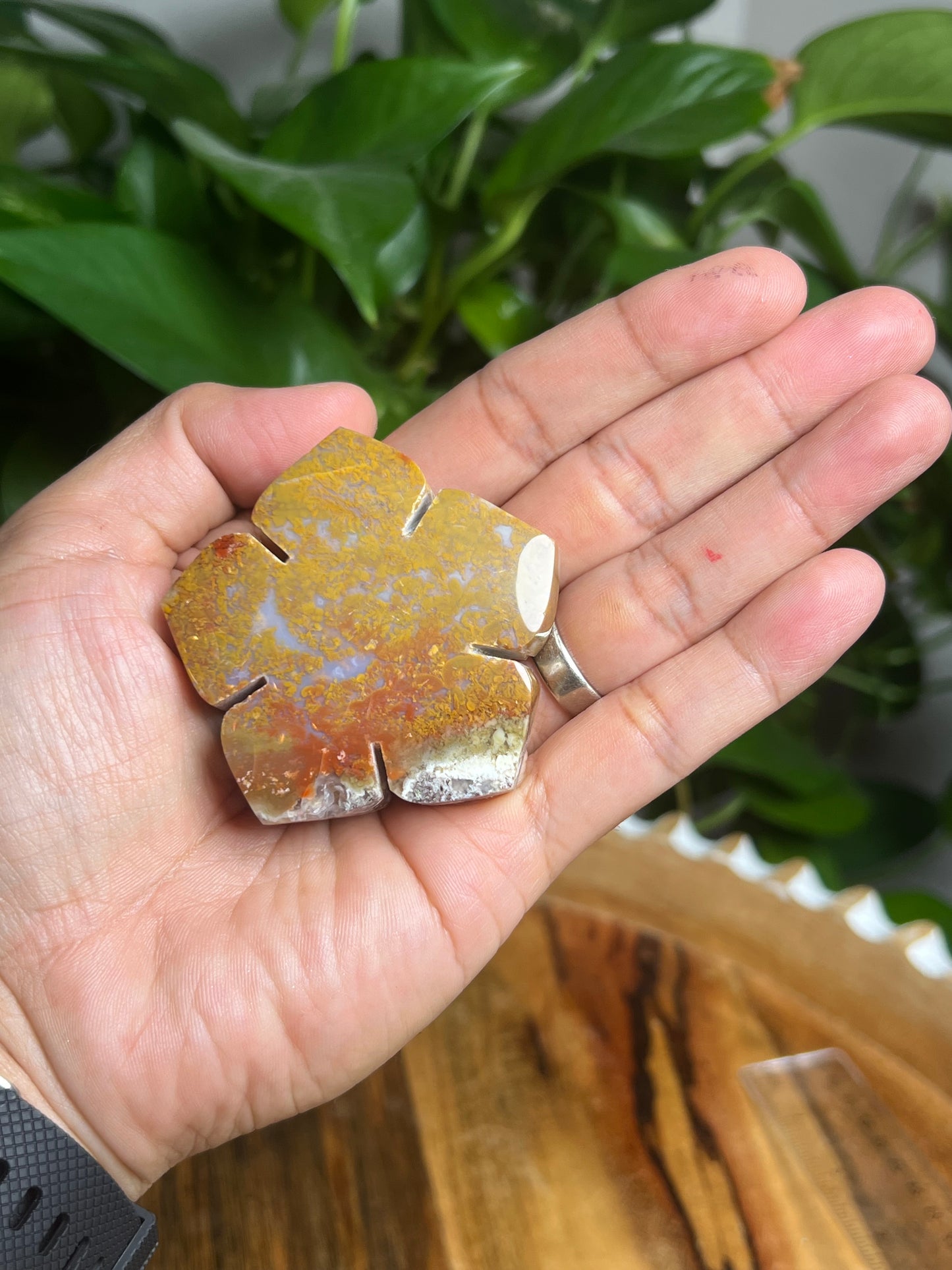 Scenic Moss Agate Flower: N