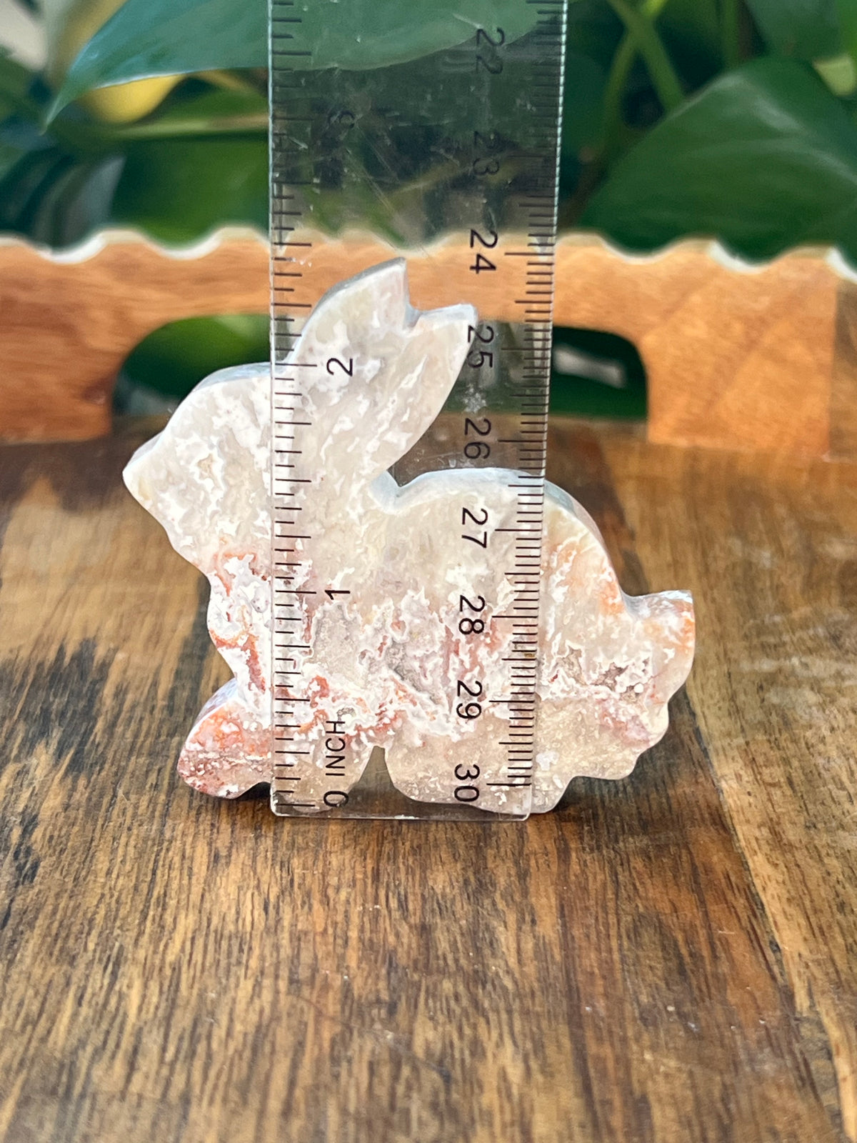 Sumatra Plume Agate Bunnies