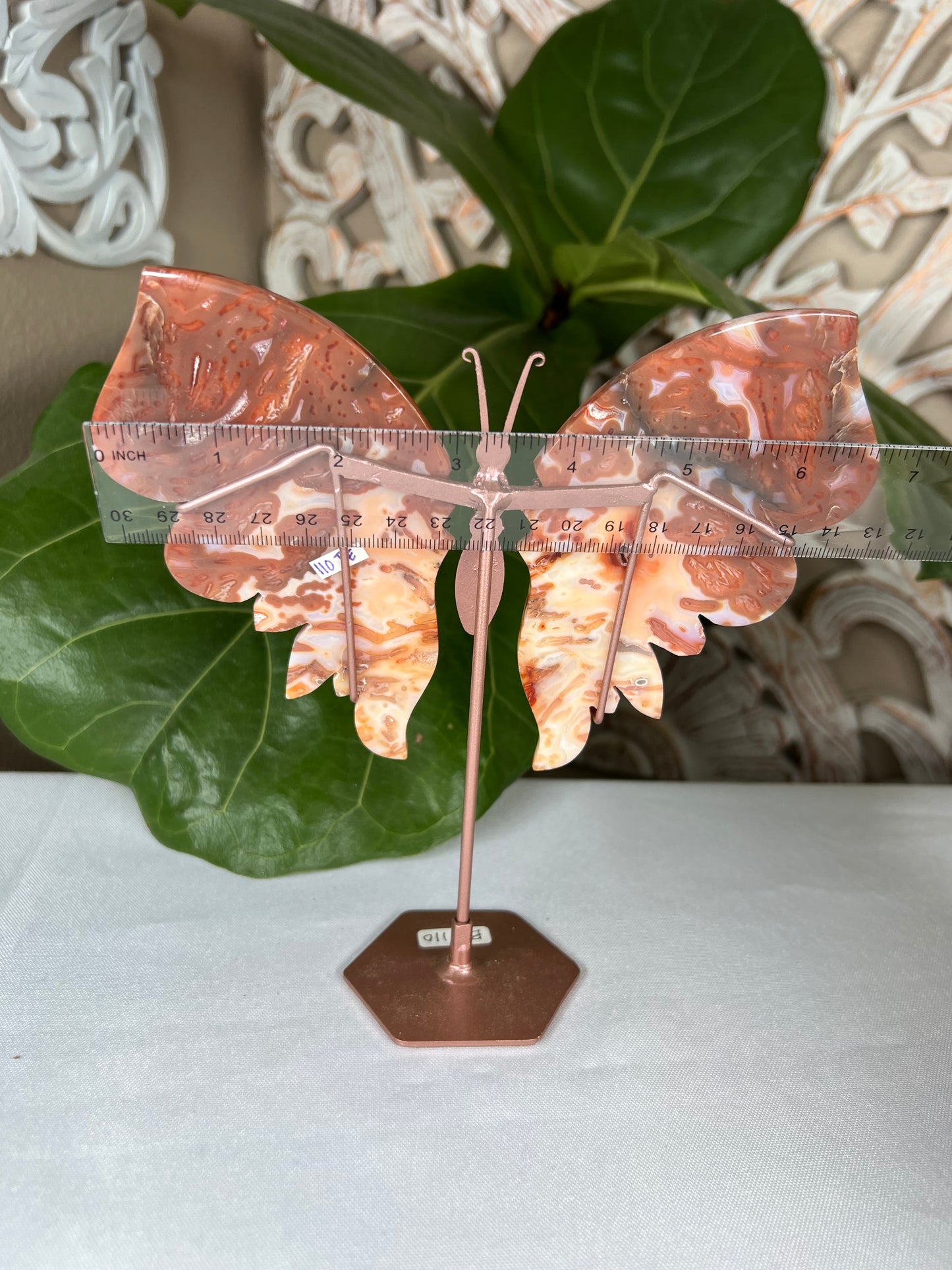 Carnelian Wings
