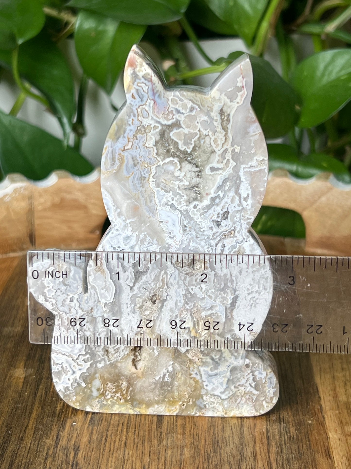 Sumatra Plume Agate Cat