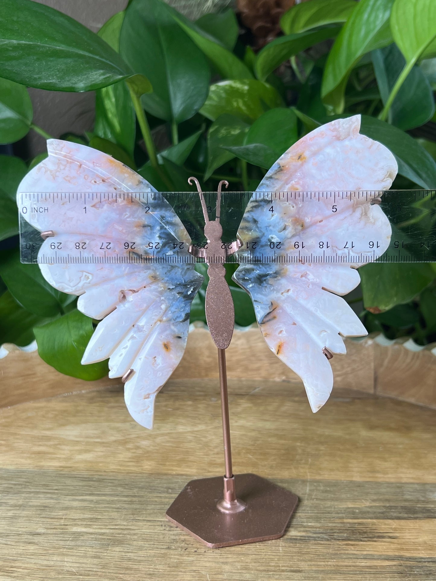 Rainbow Plume Agate Wings