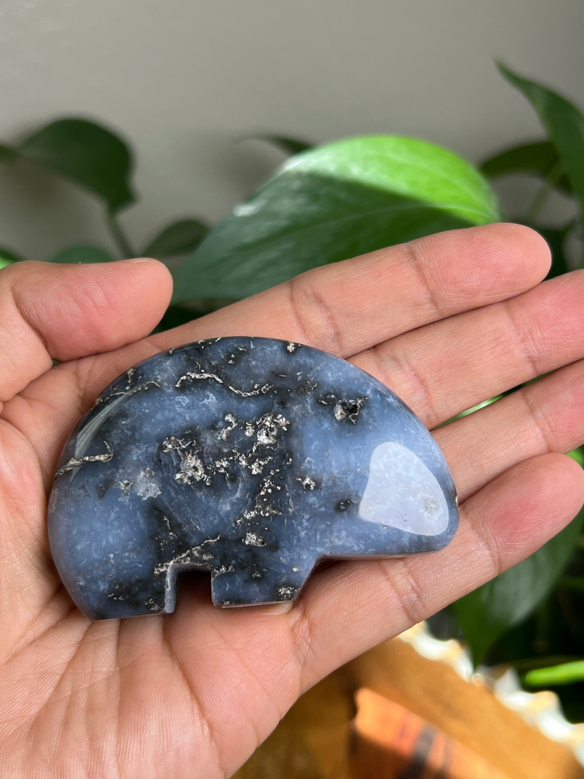 Blue Plume Agate Bear: DC