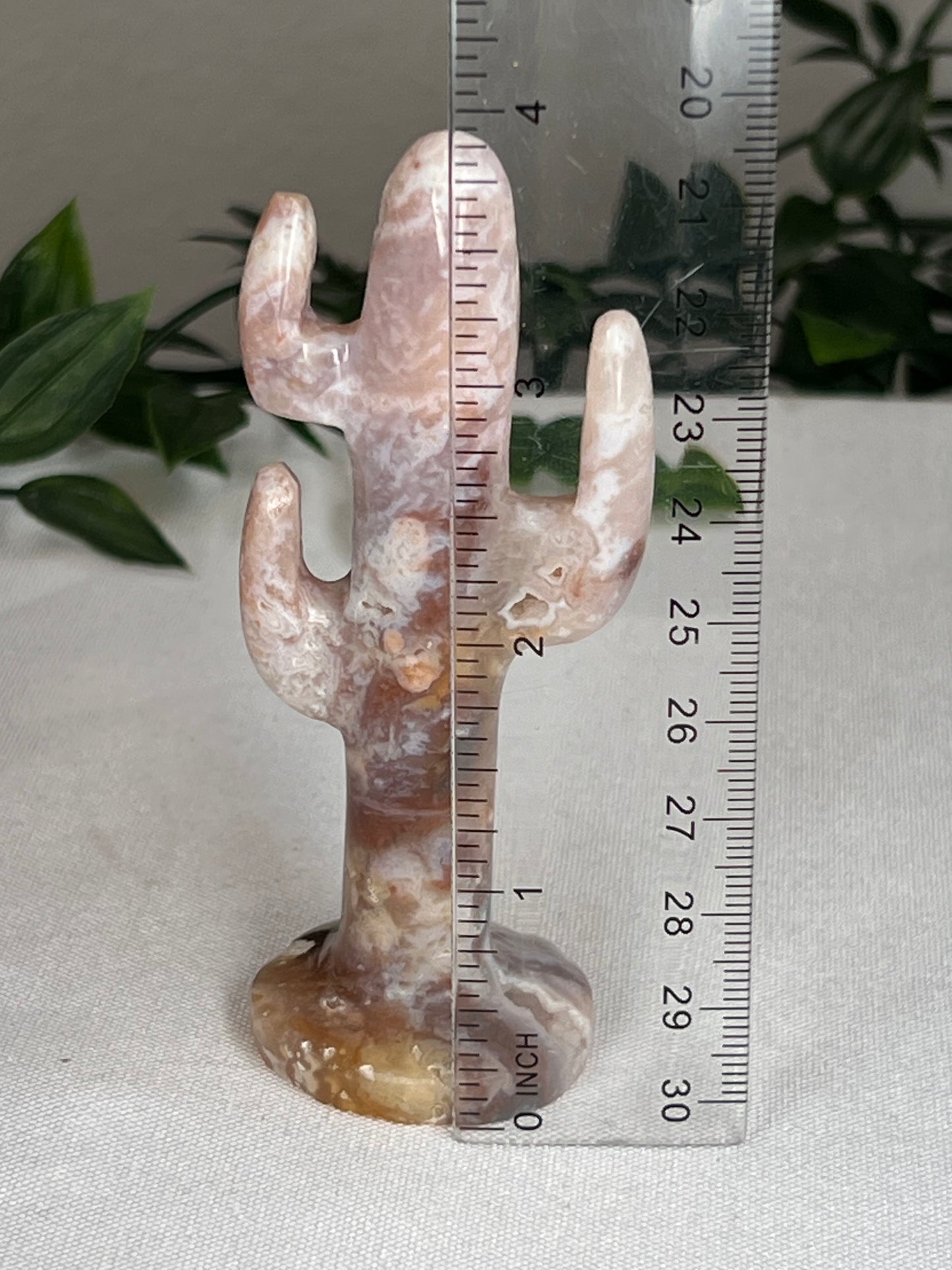 Rainbow Plume Agate Cactus