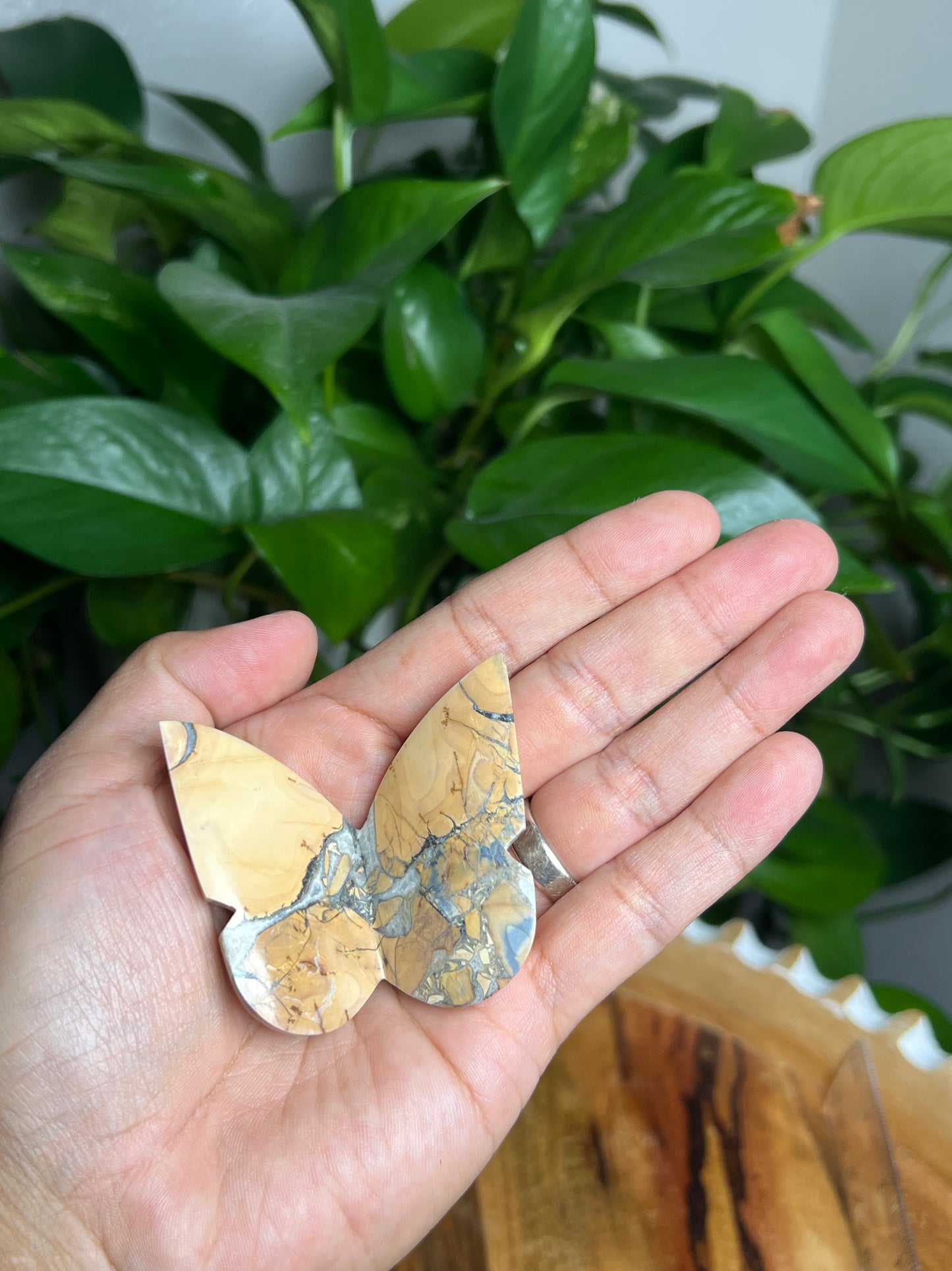 Maligano 3D Butterfly: AE