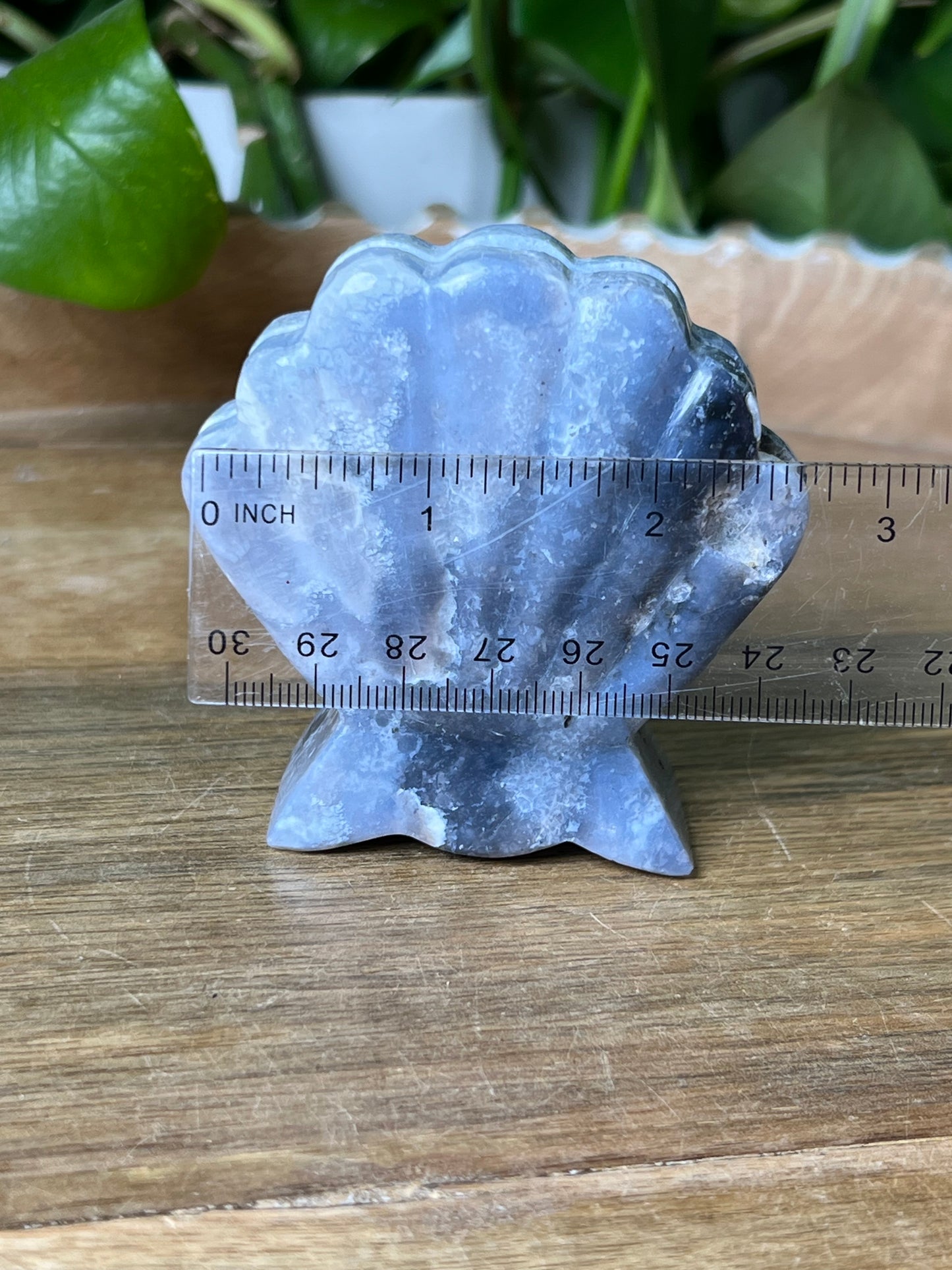 Blue Plume Agate Shell