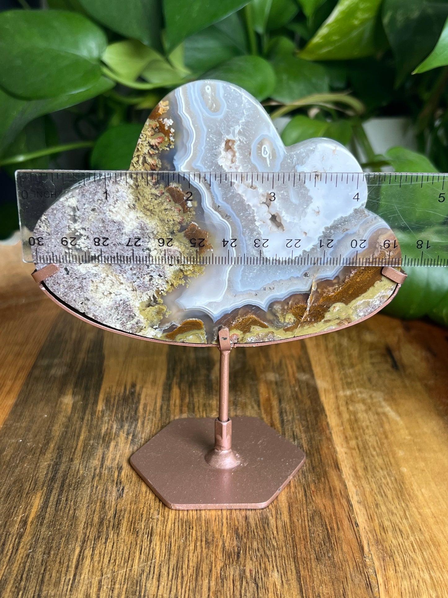Scenic Moss Agate Cloud