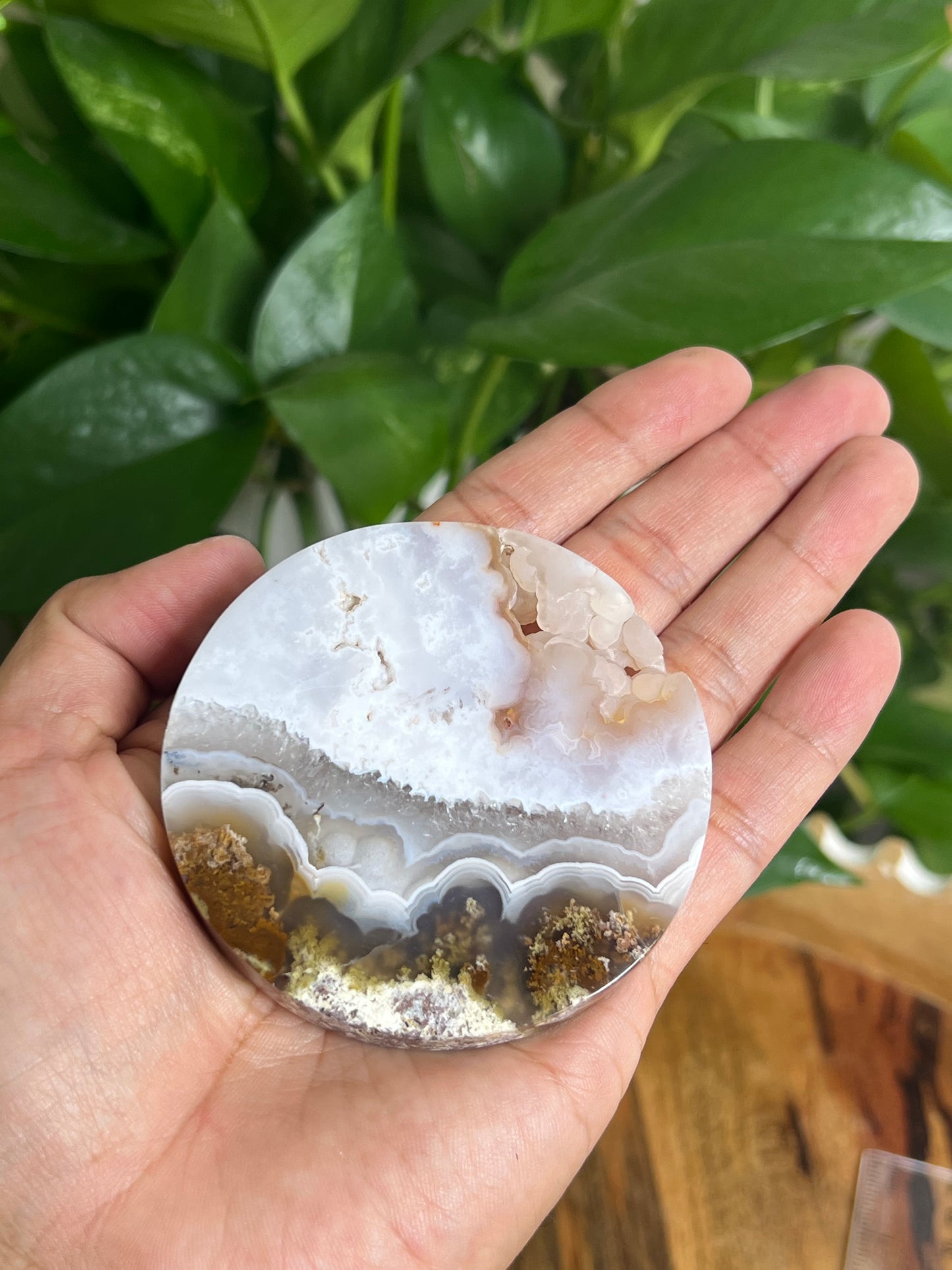 Scenic Moss Agate Coaster: AQ