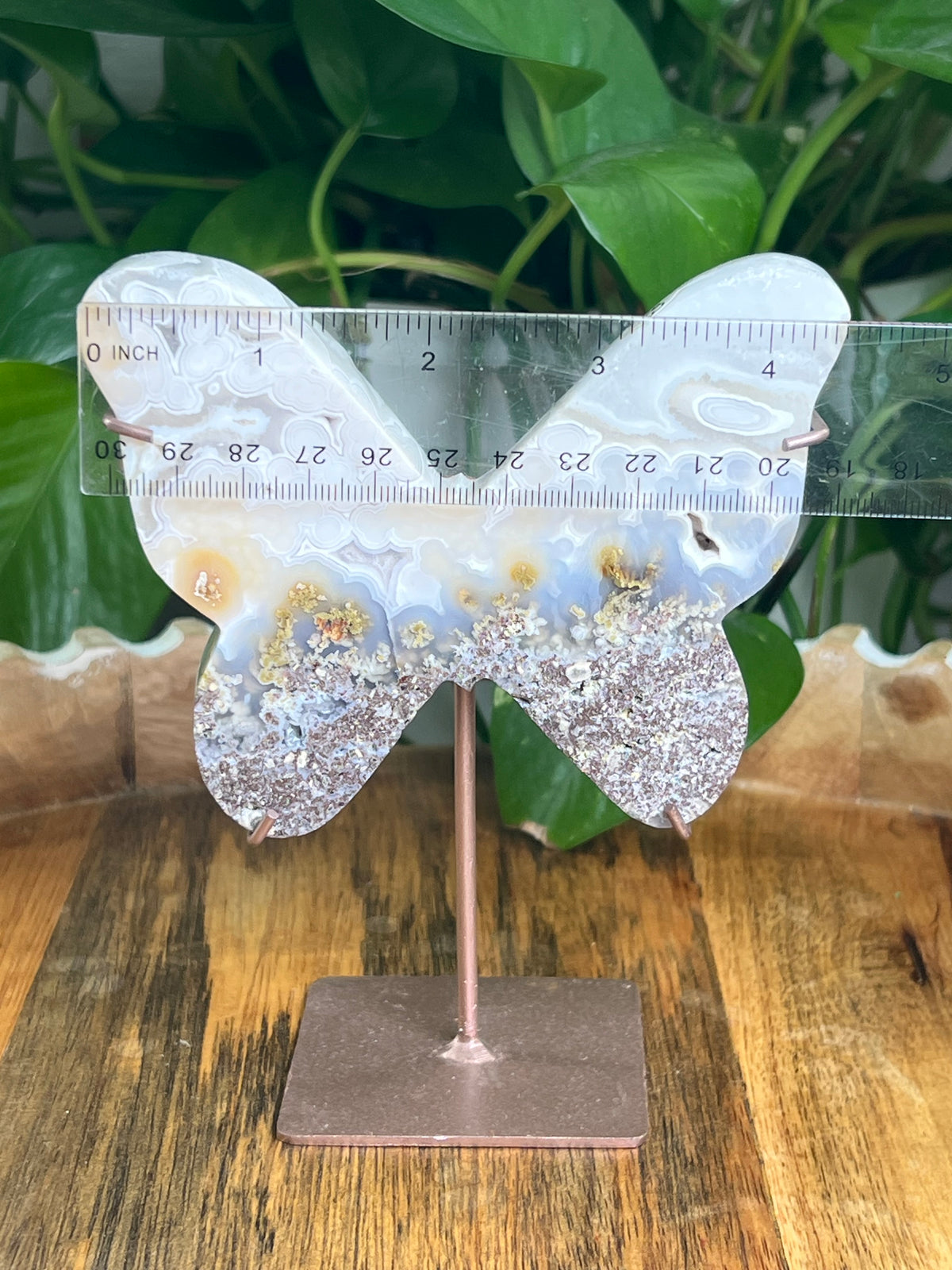 Scenic Moss Agate Butterfly: W