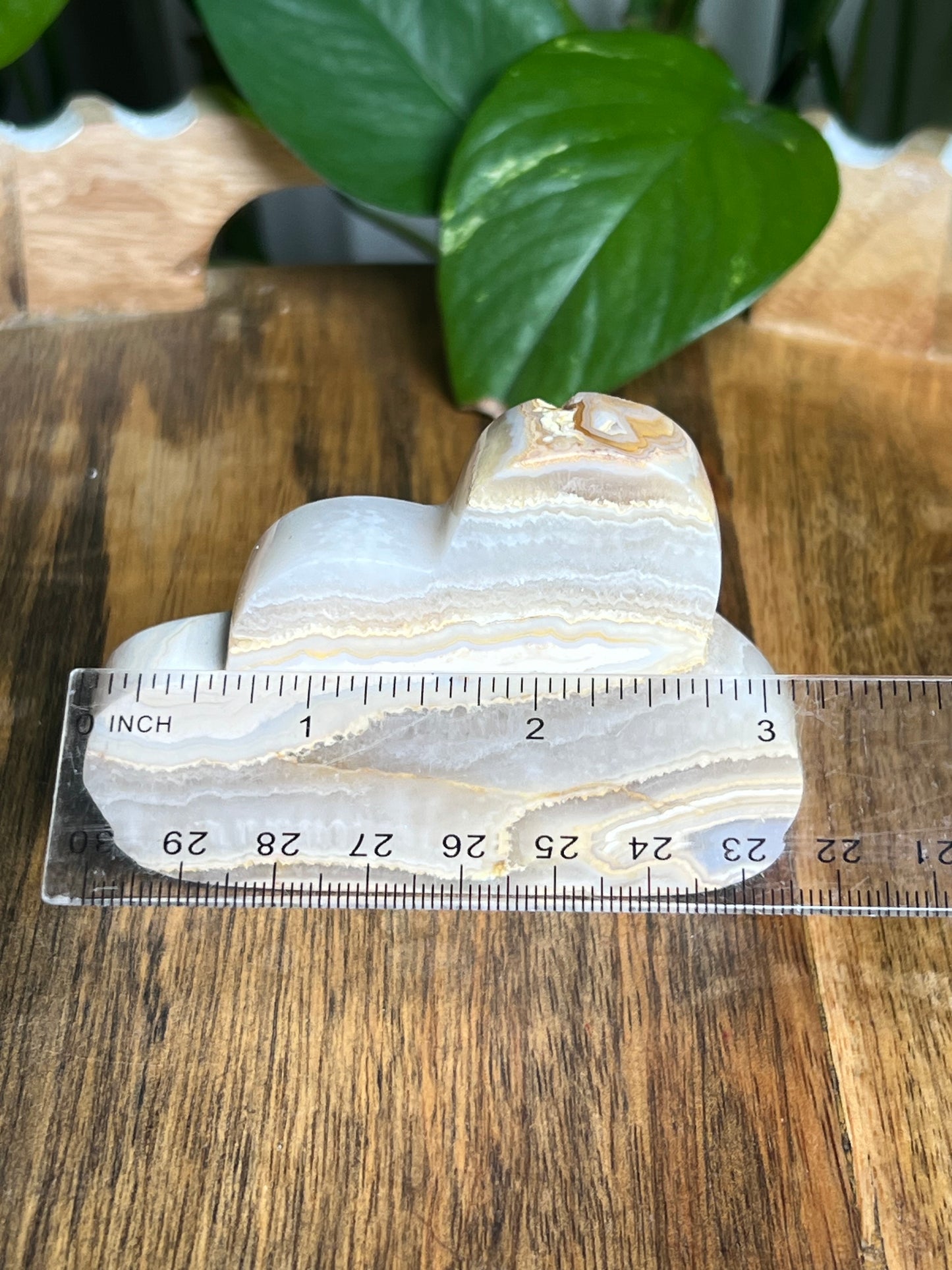 Crazy Lace Agate Cloud: EP
