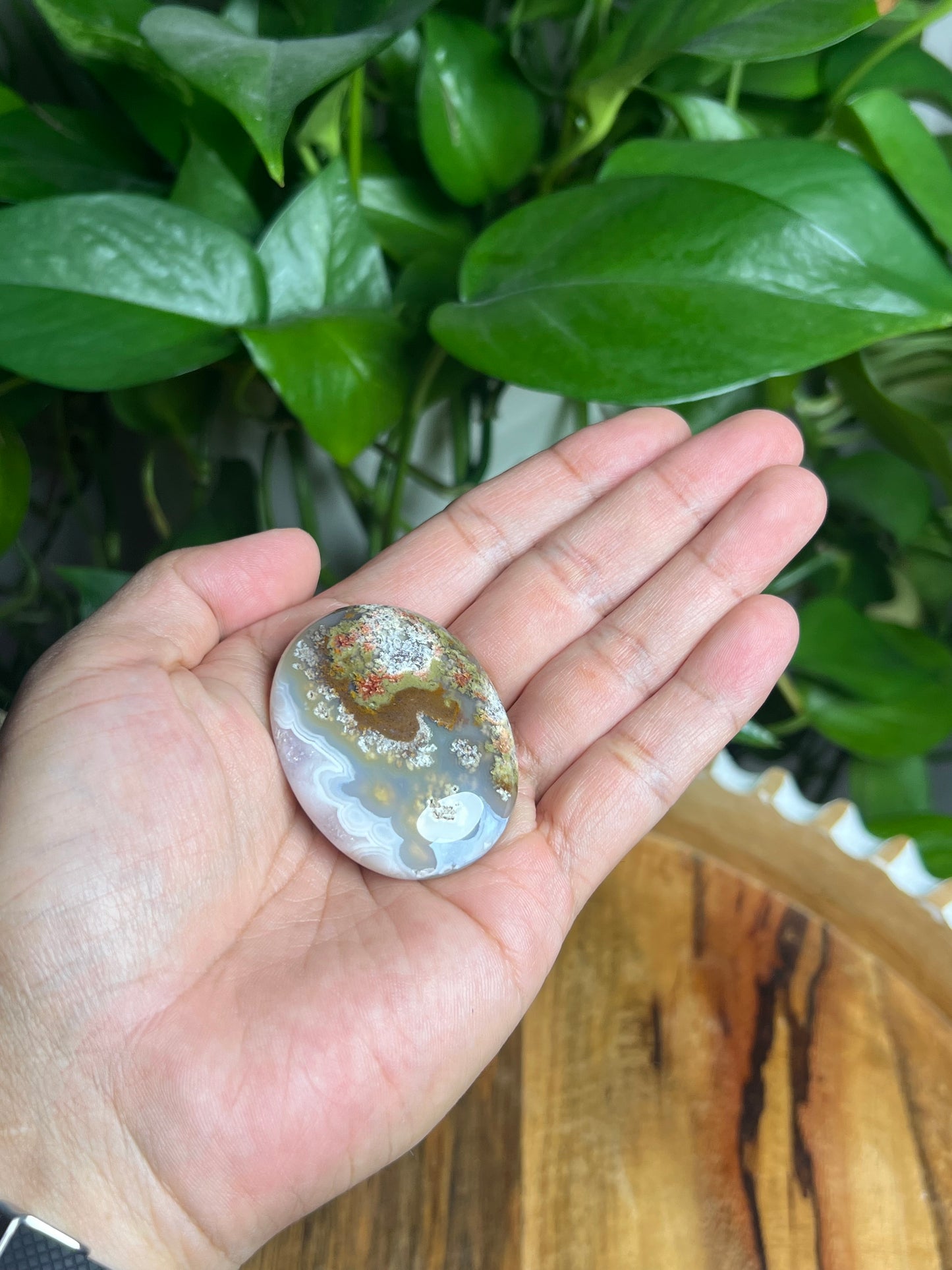 Scenic Moss Agate Palmstone: Bi