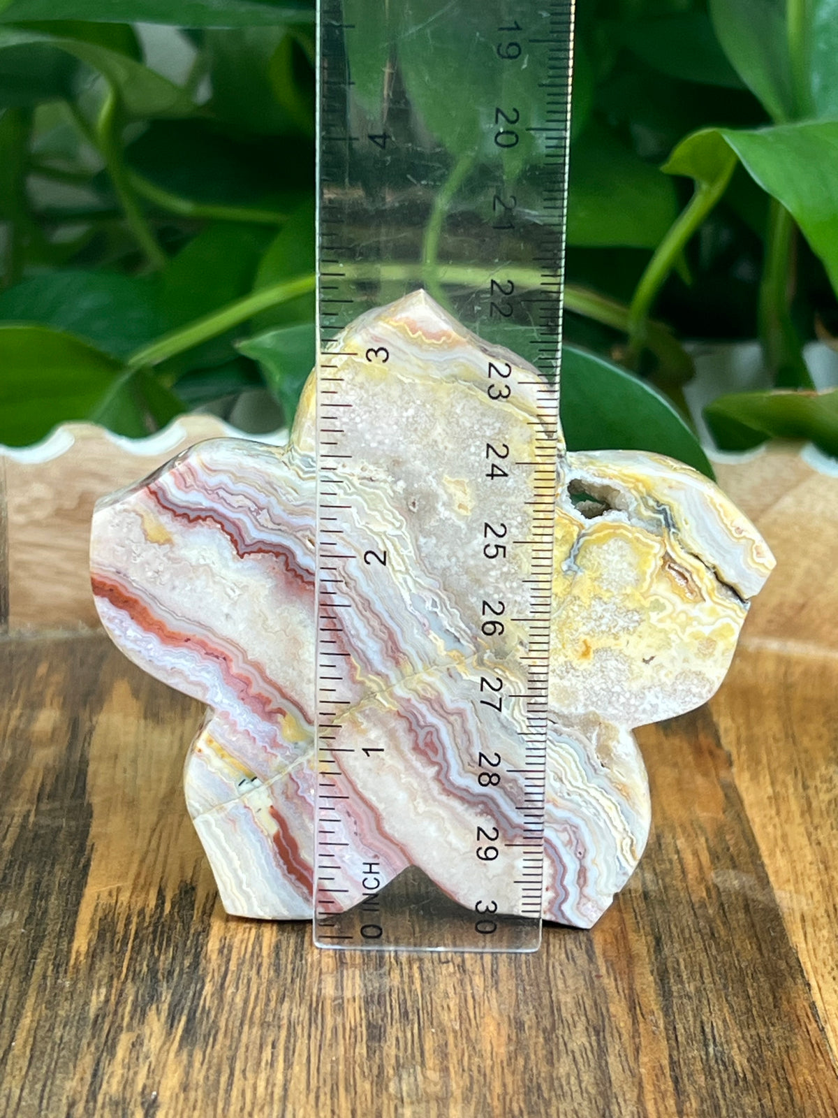 Crazy Lace Agate Flower: Ci