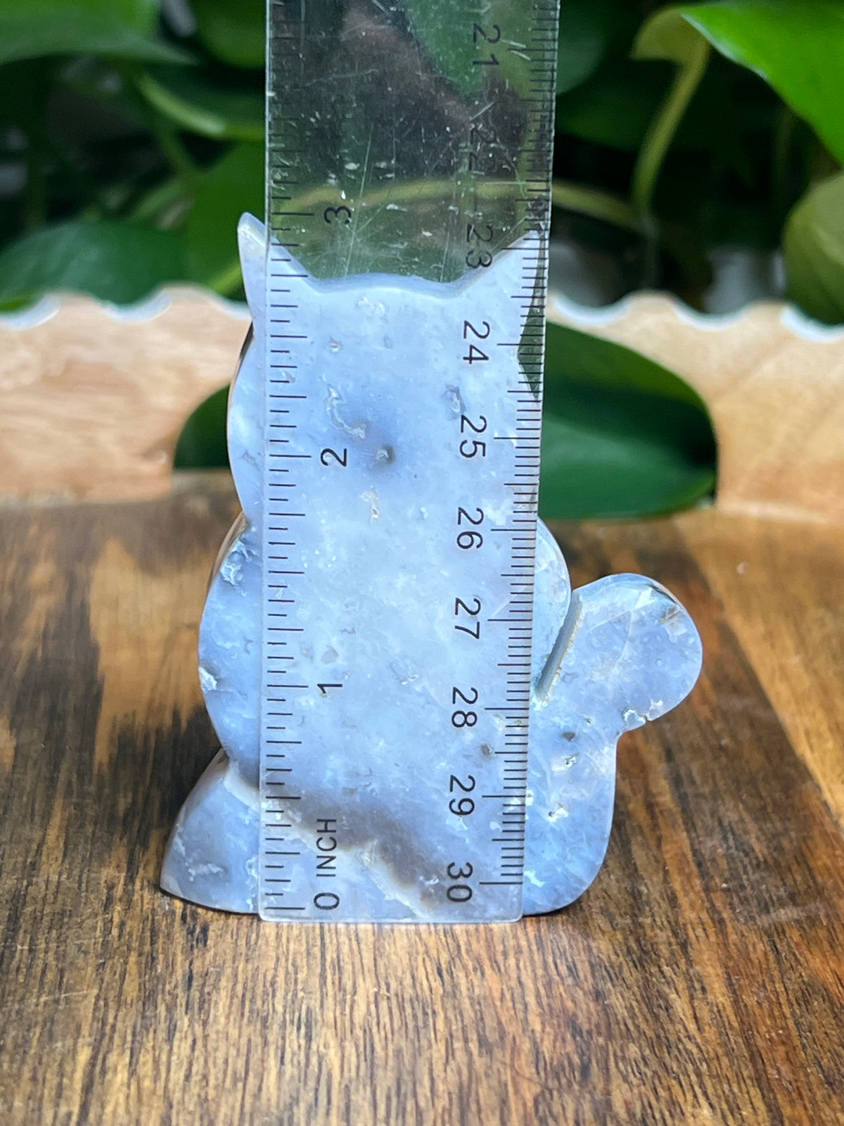 Blue Plume Agate Cat: BE