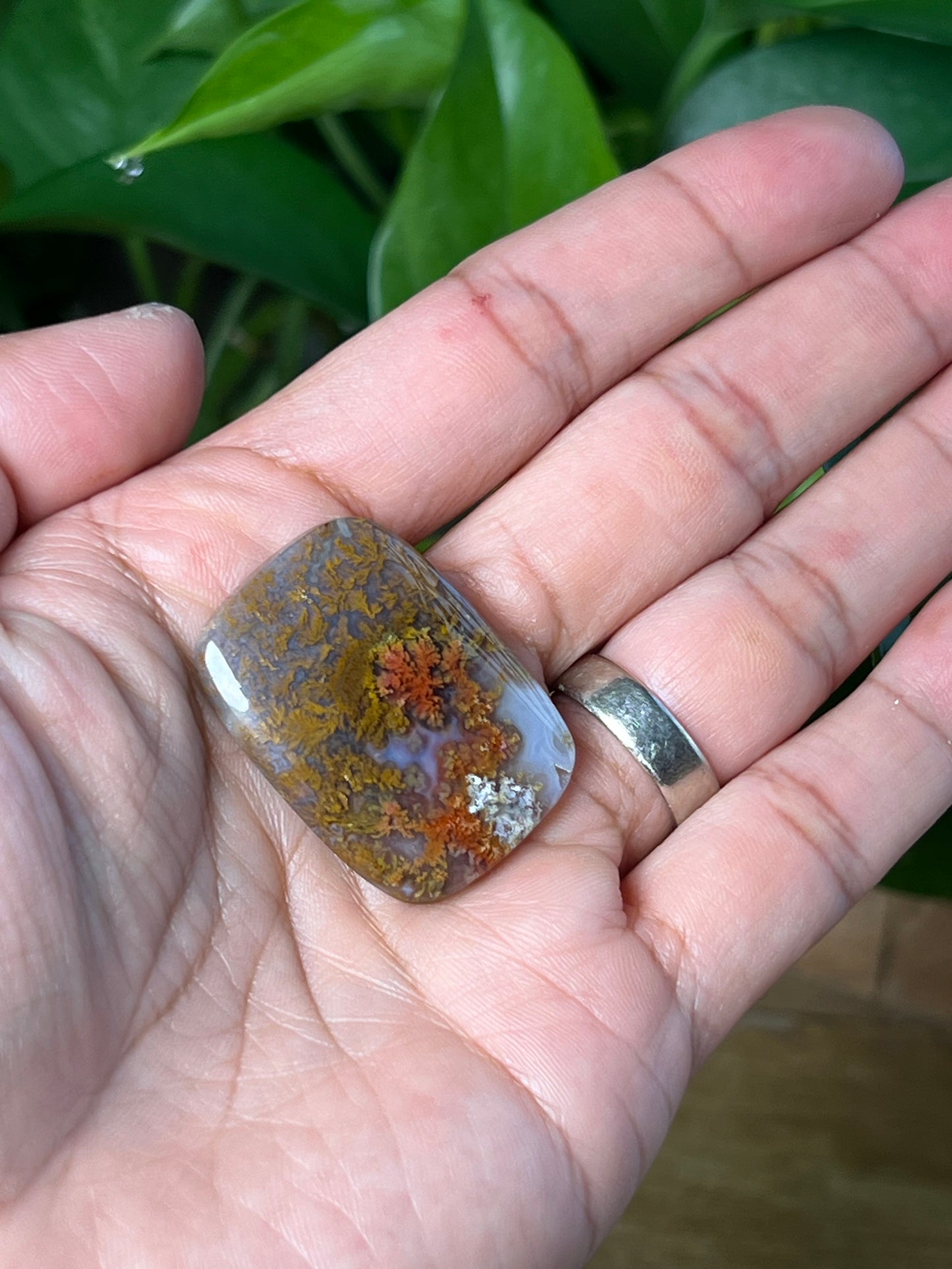 Scenic Moss Agate Cabochon