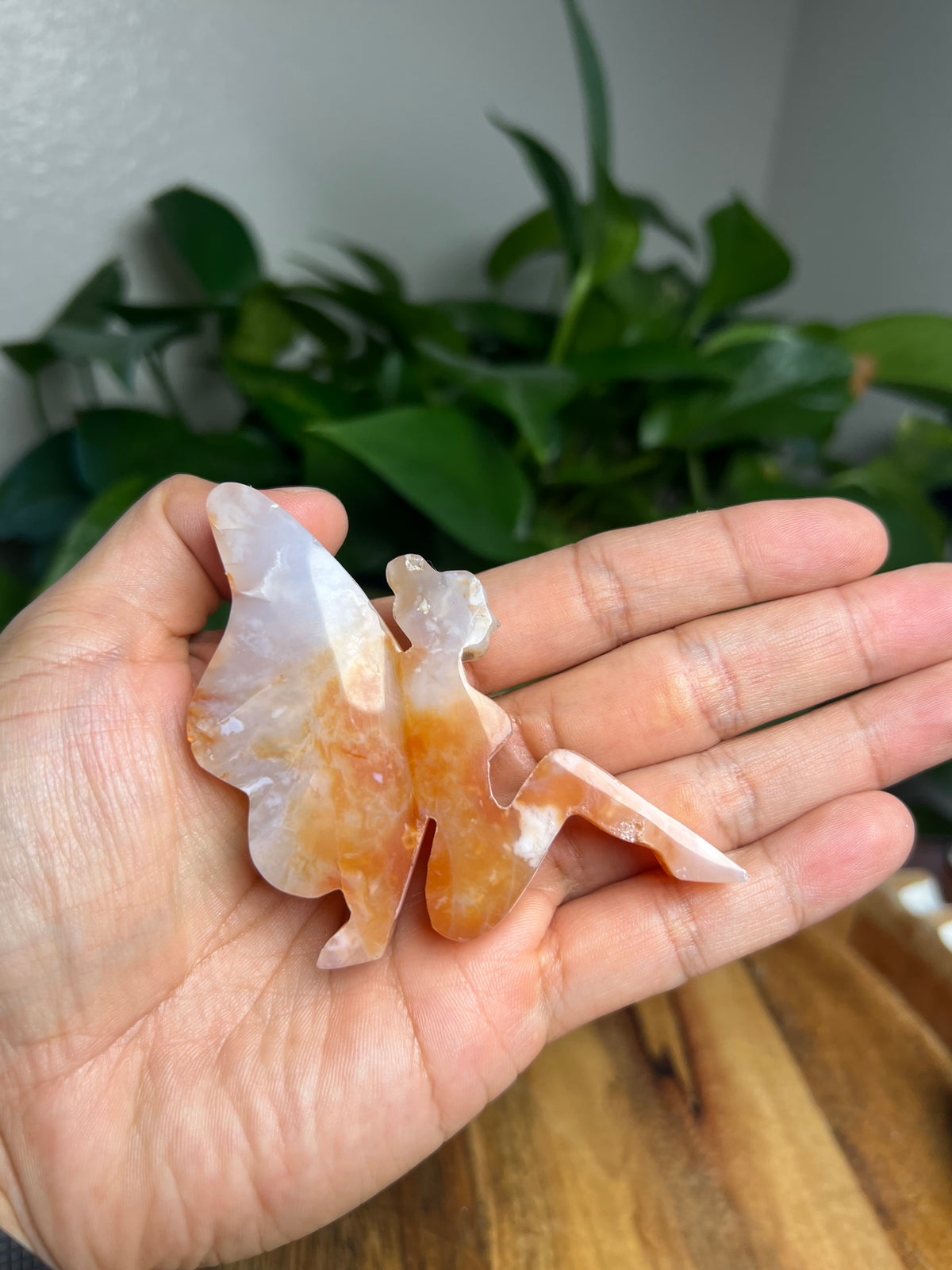 Carnelian Pixie Fairy: AM