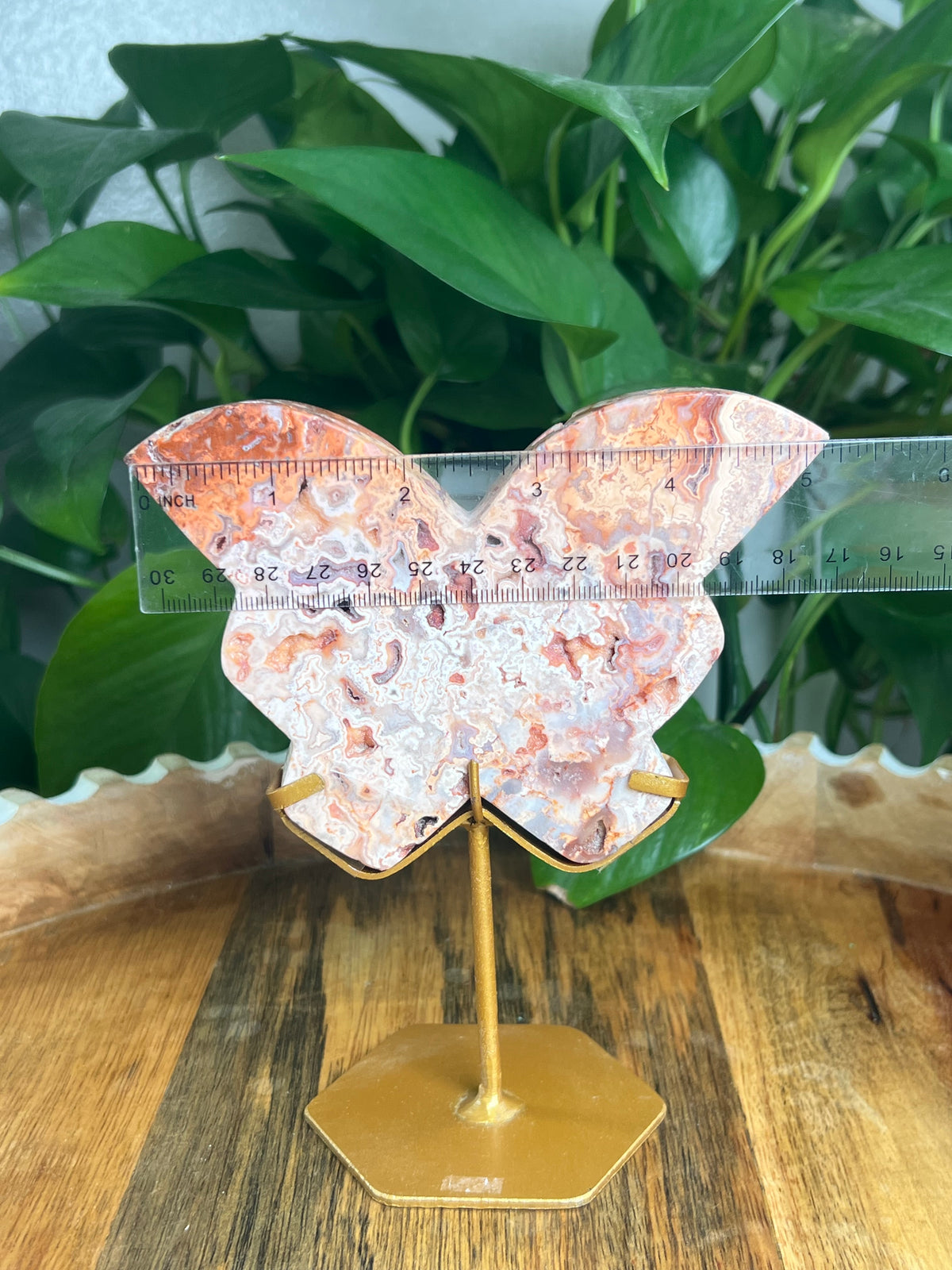 Crazy Lace Agate Butterfly: PE