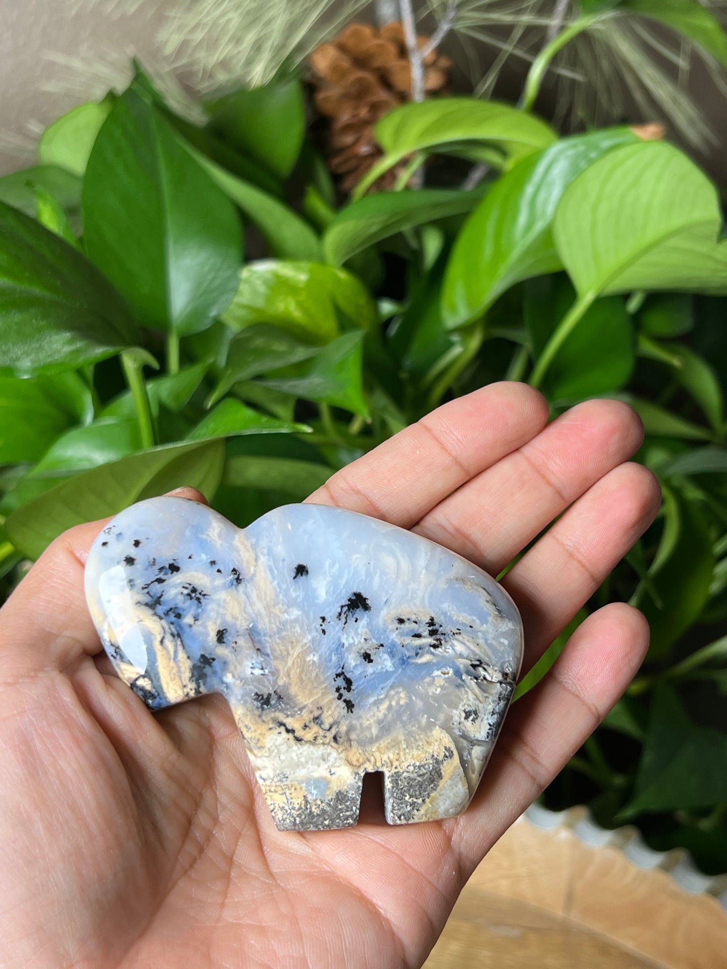 Dendritic Tiger Buffalo
