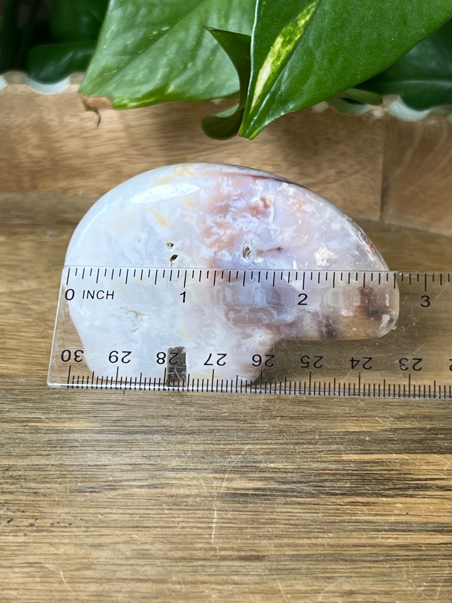 Rainbow Plume Agate Bear