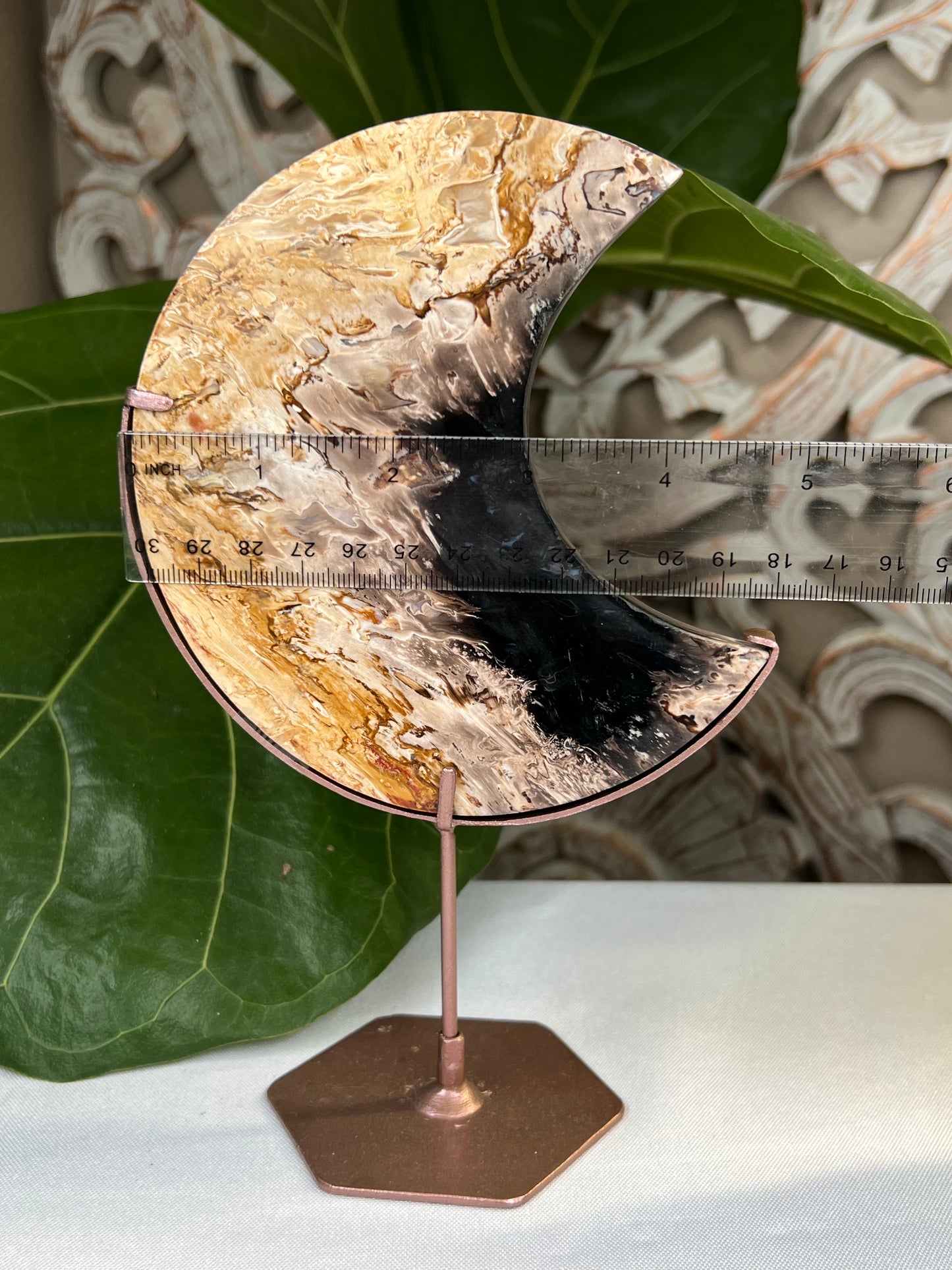 Palm Root Moon