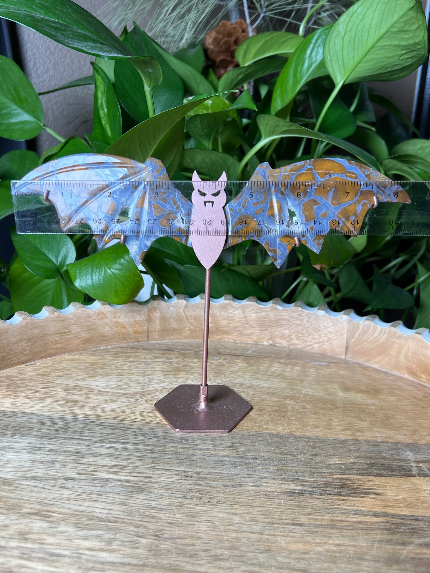 Brecciated Jasper Bat Wings