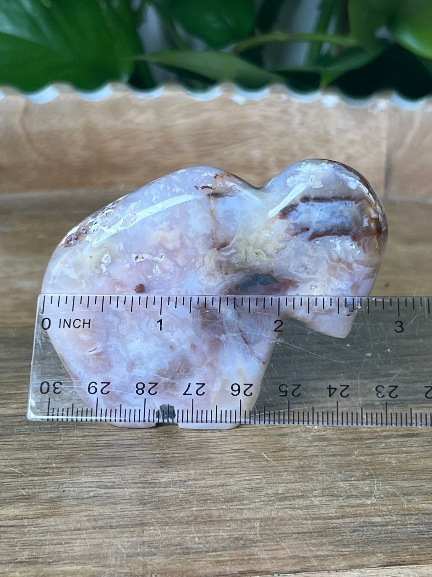 Rainbow Plume Agate Buffalo