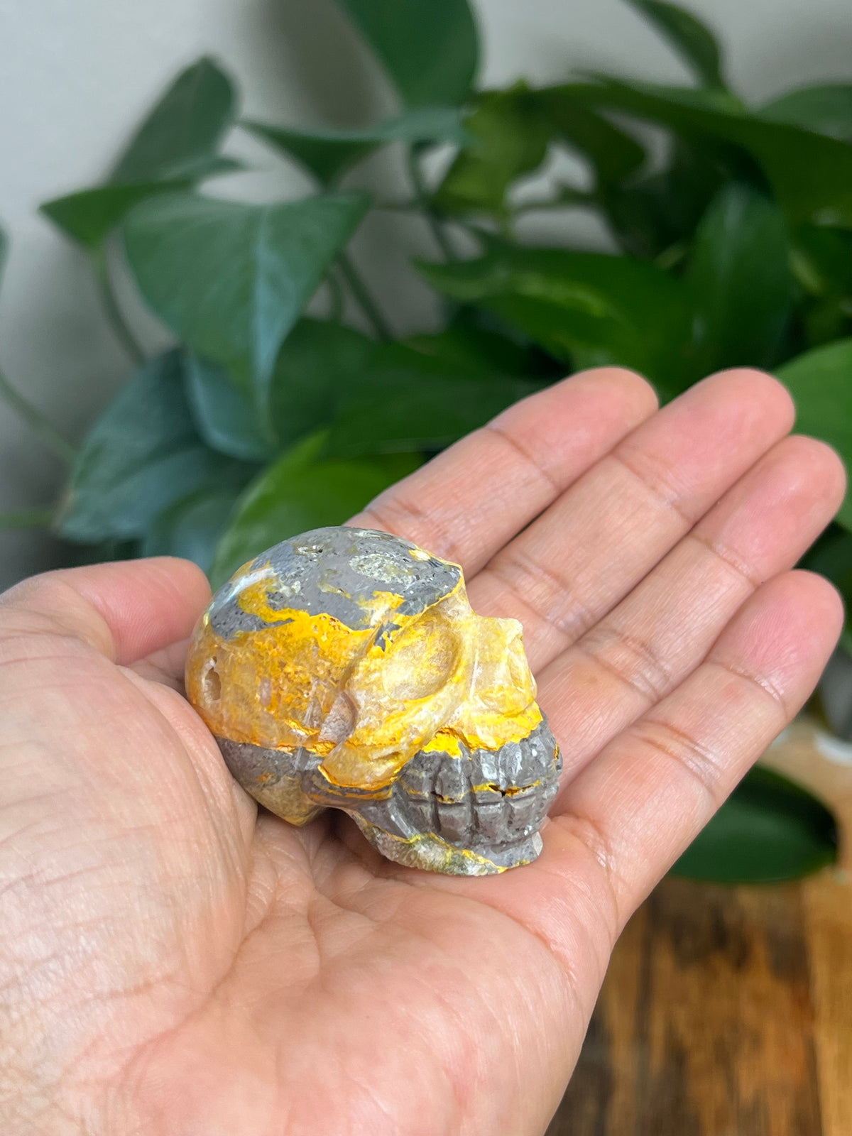 Bumblebee Jasper Mini Skull: E