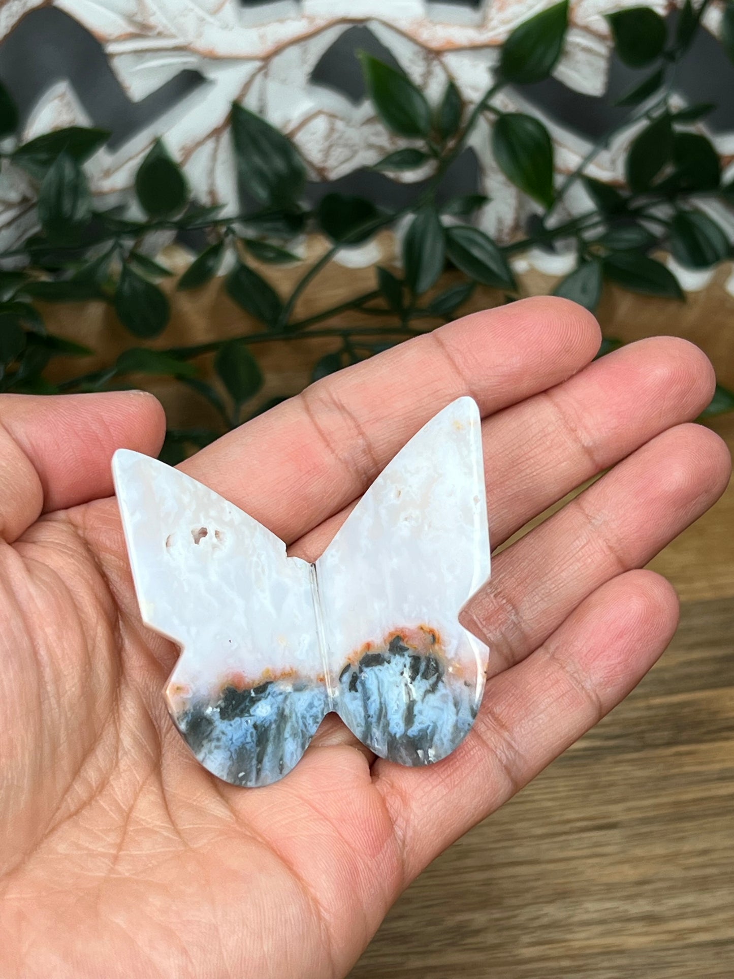 Rainbow Plume Agate 3D Butterfly