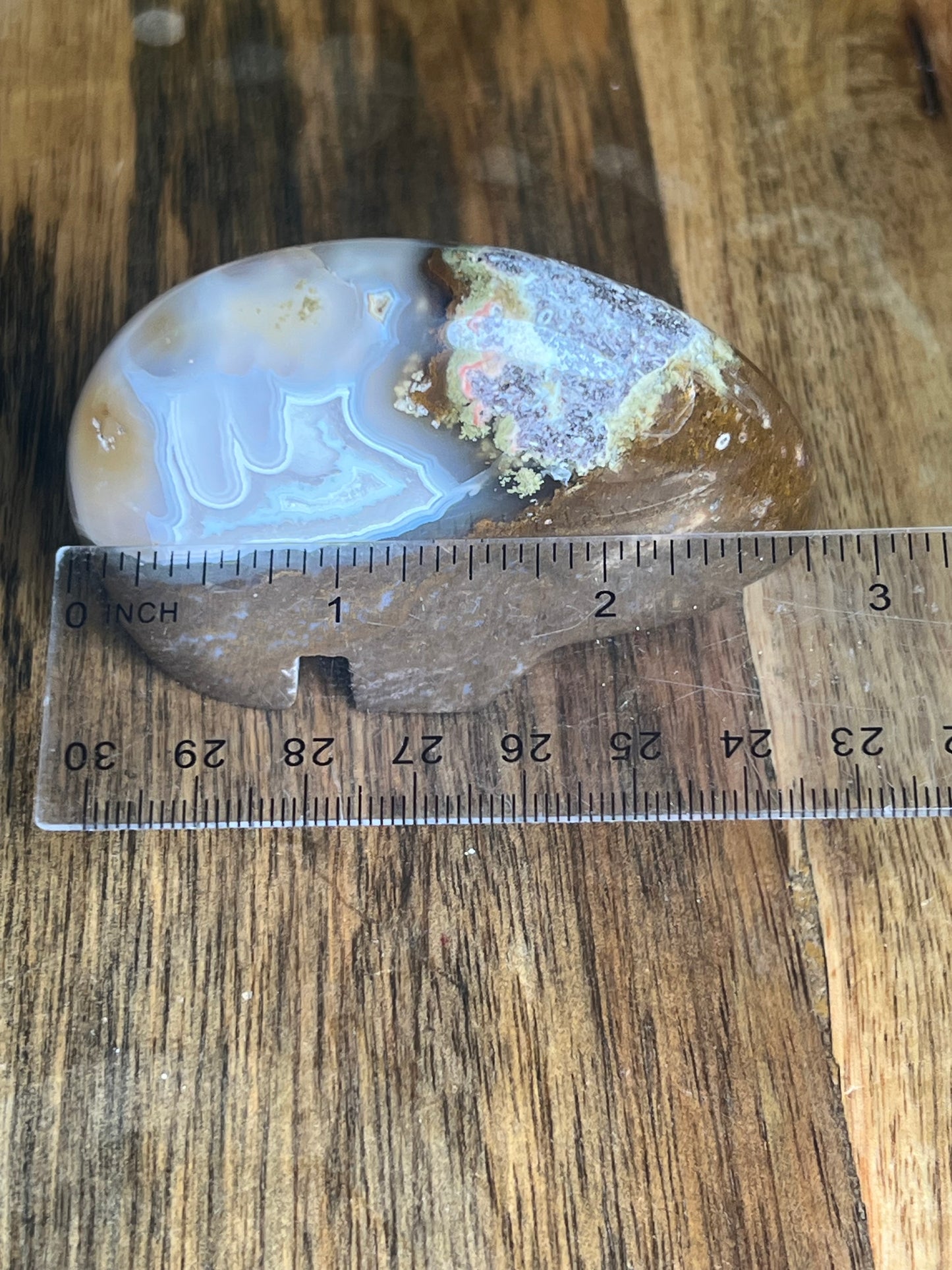 Scenic Moss Agate Bear Bi