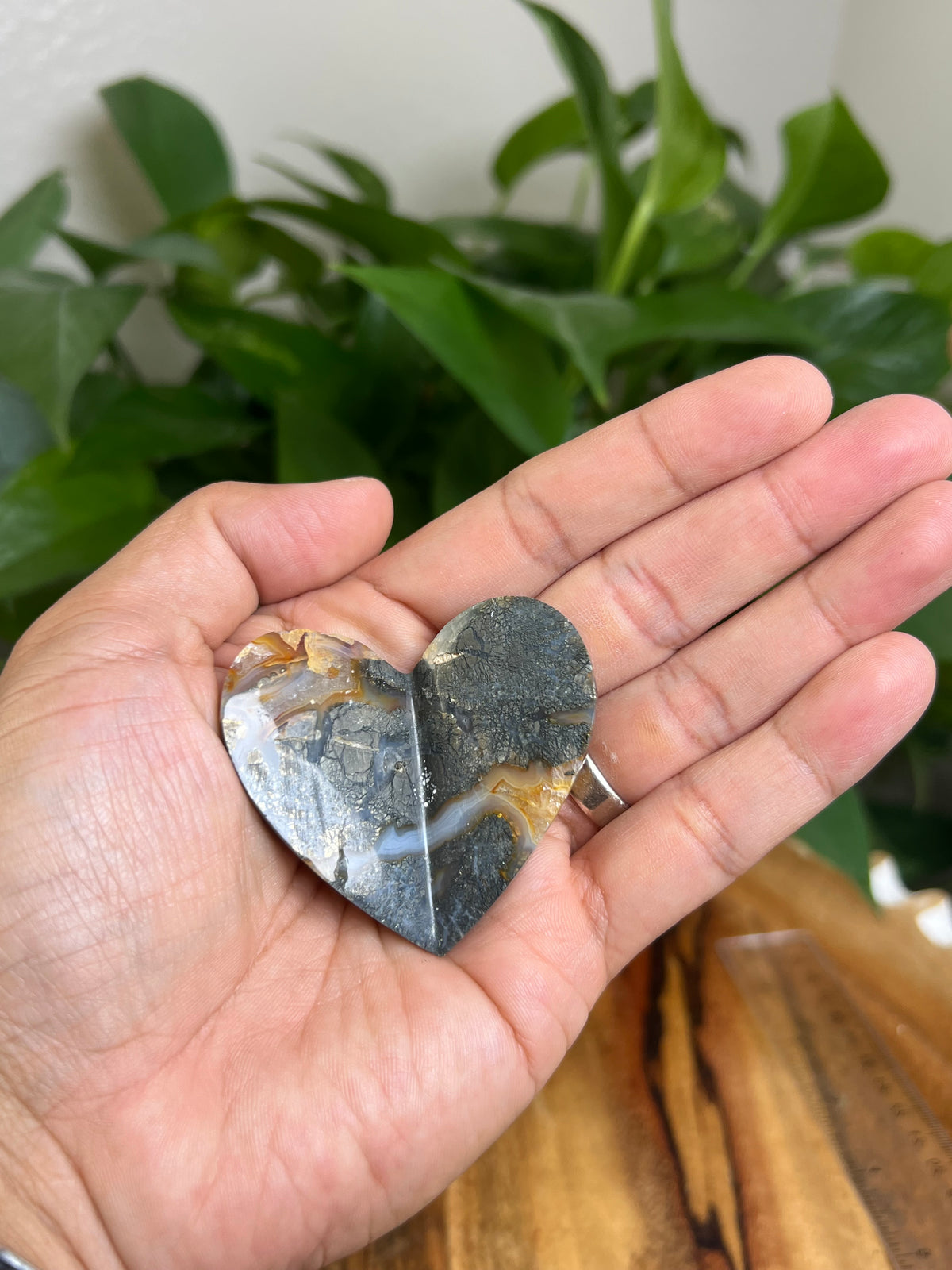 Marcasite 3D Butterfly Heart: TA