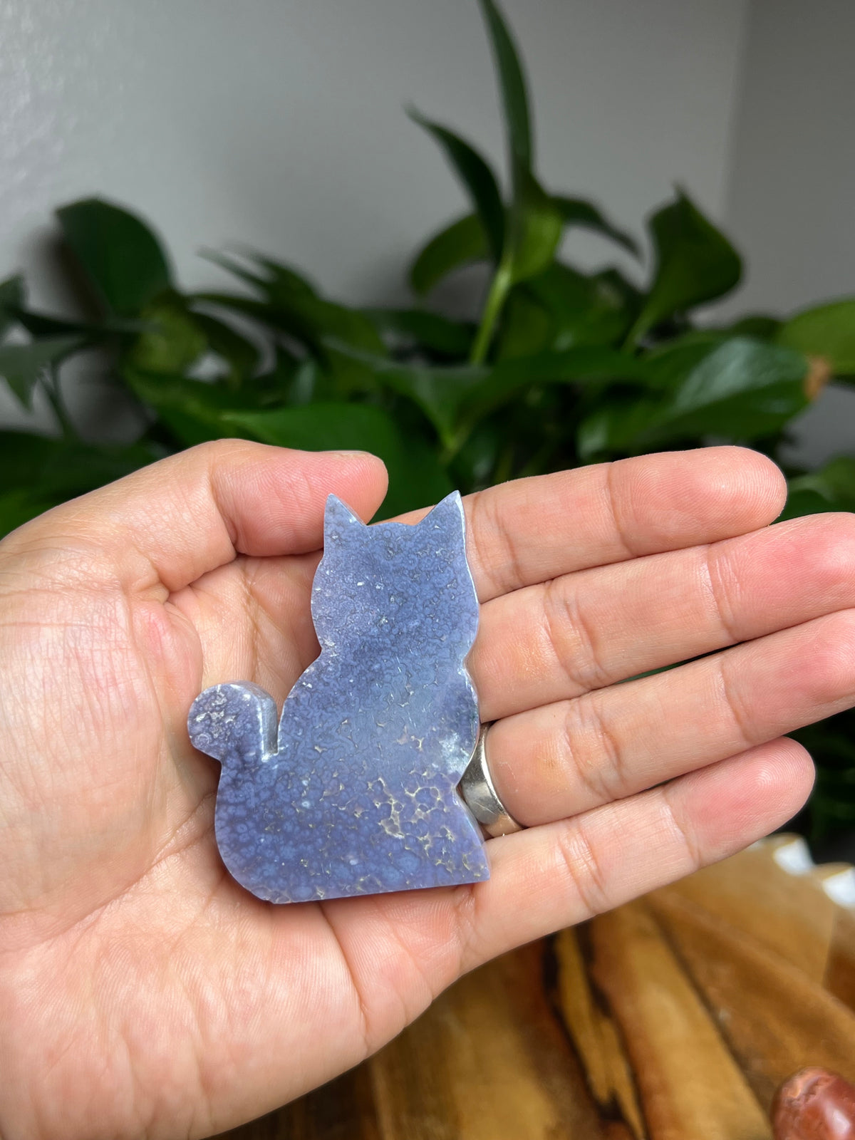 Grape Agate Mini Cat: BK