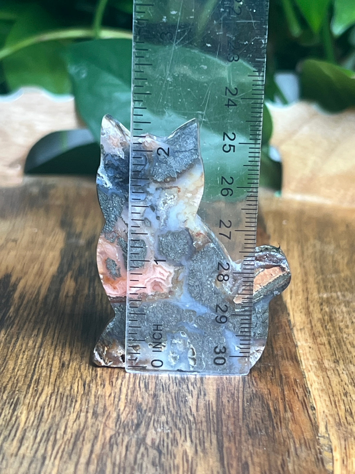 Marcasite Mini Cat: XG