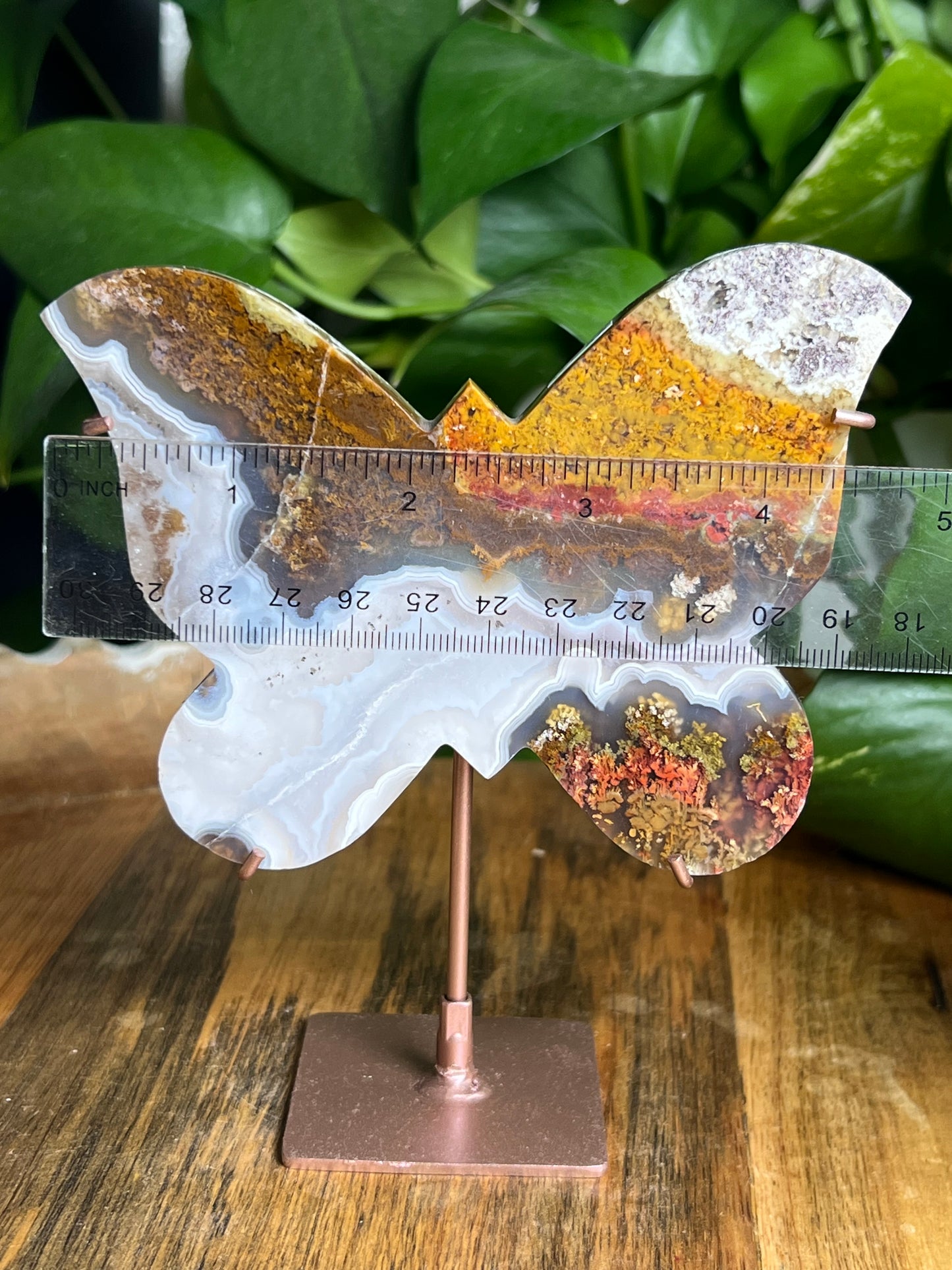 Scenic Moss Agate Butterfly