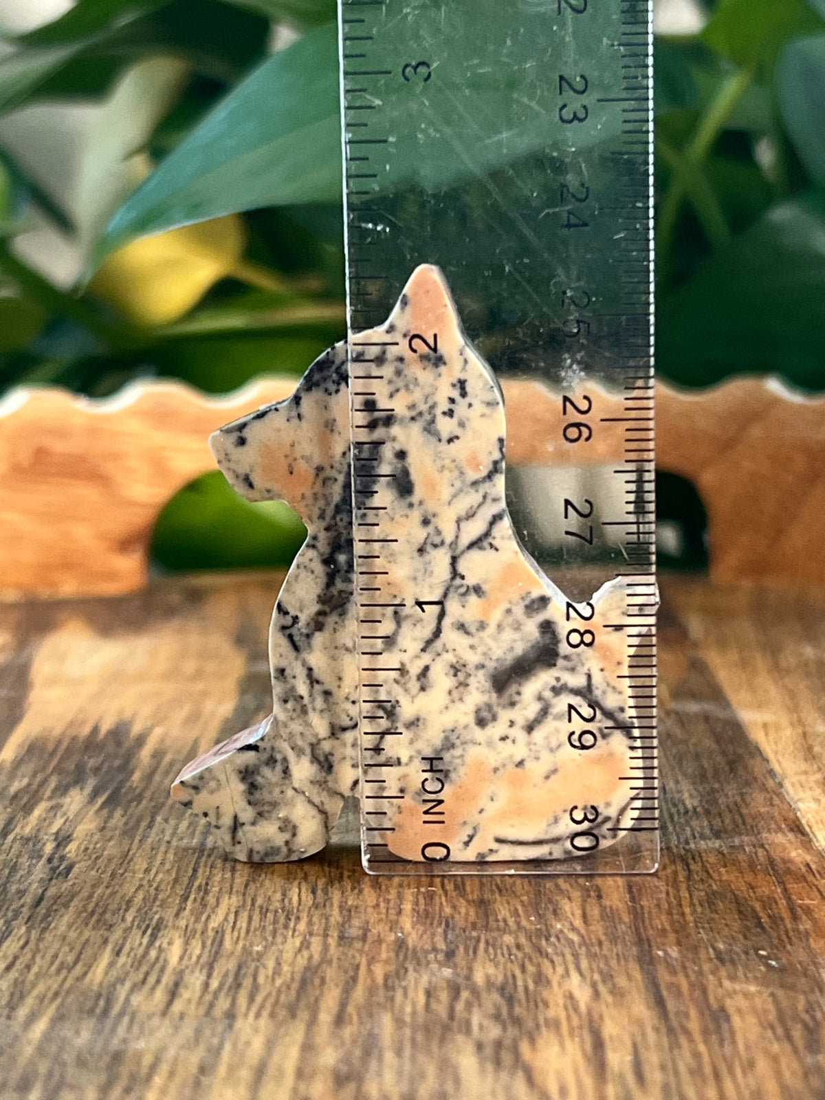 Peachy Pink Dendritic Jasper Dog: KA