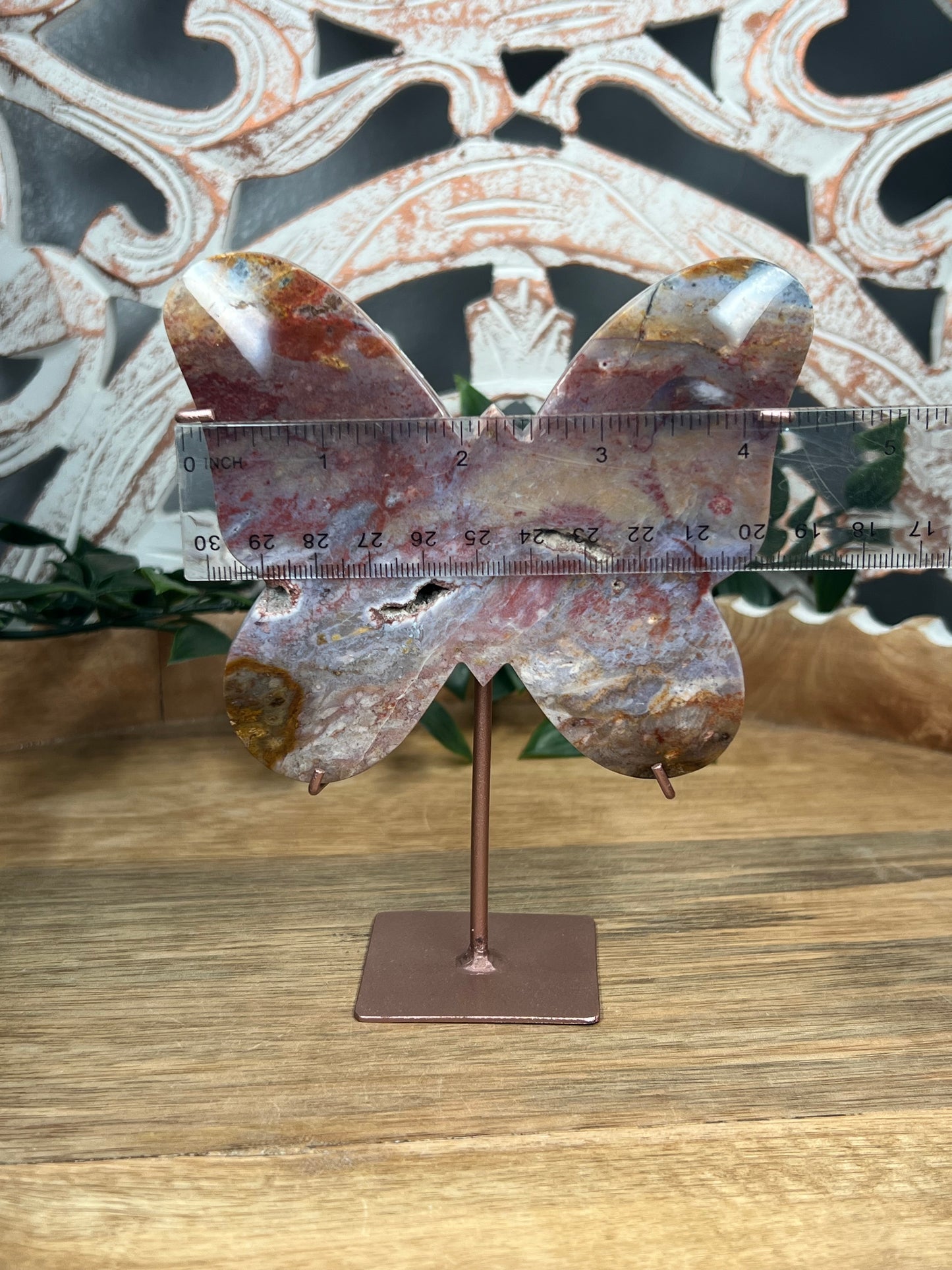 River Jasper Butterfly