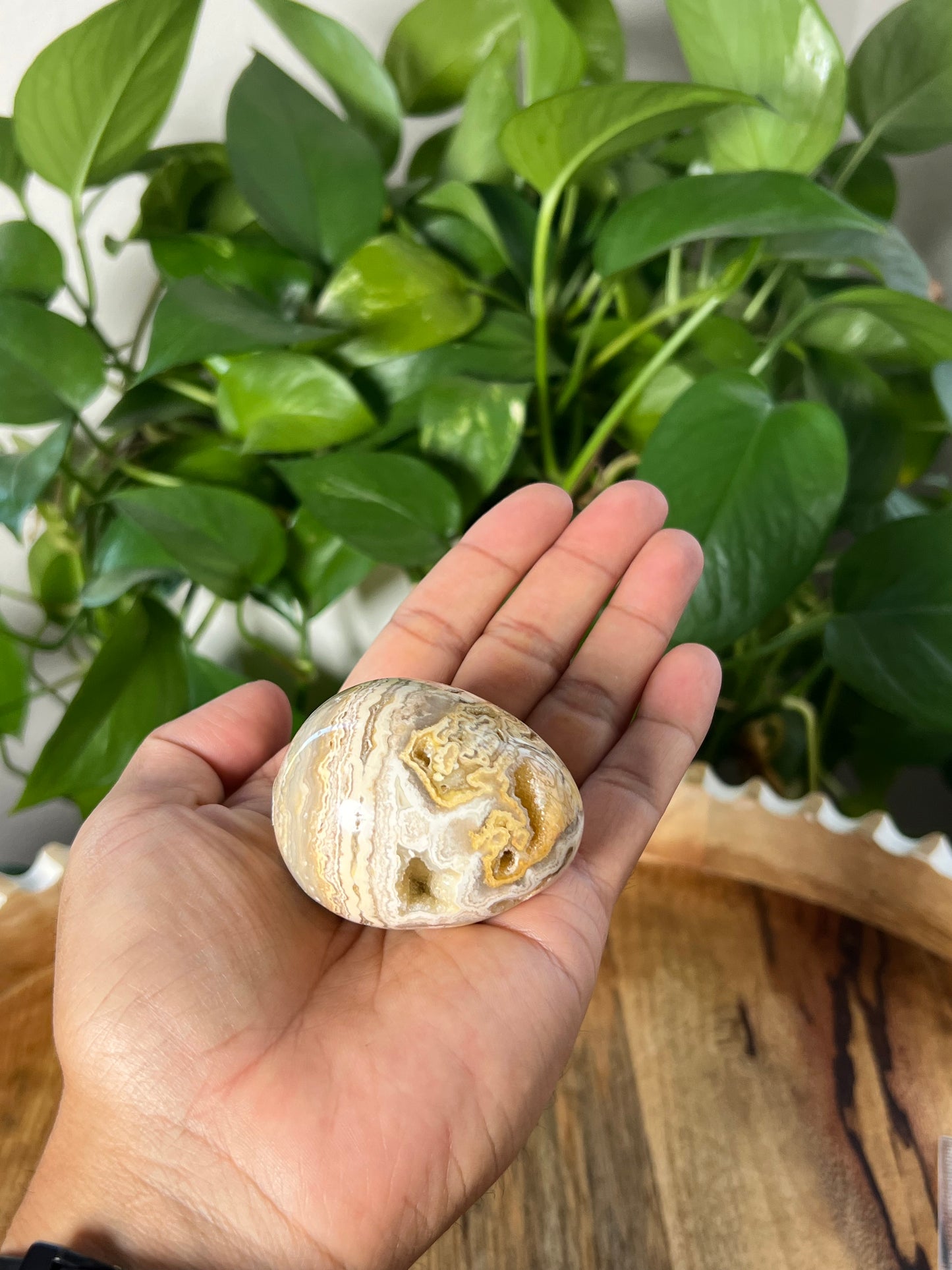 Crazy Lace Agate Egg