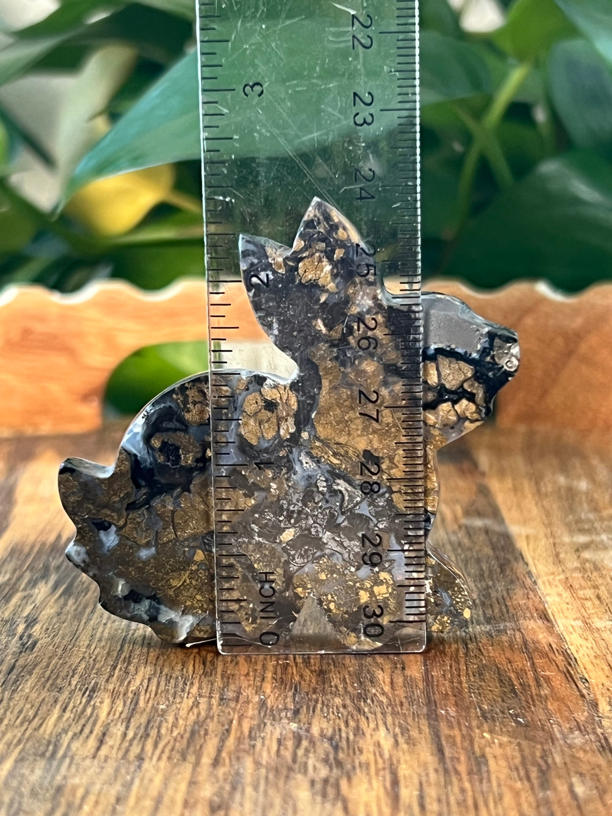 Brecciated Jasper Bunny: AB