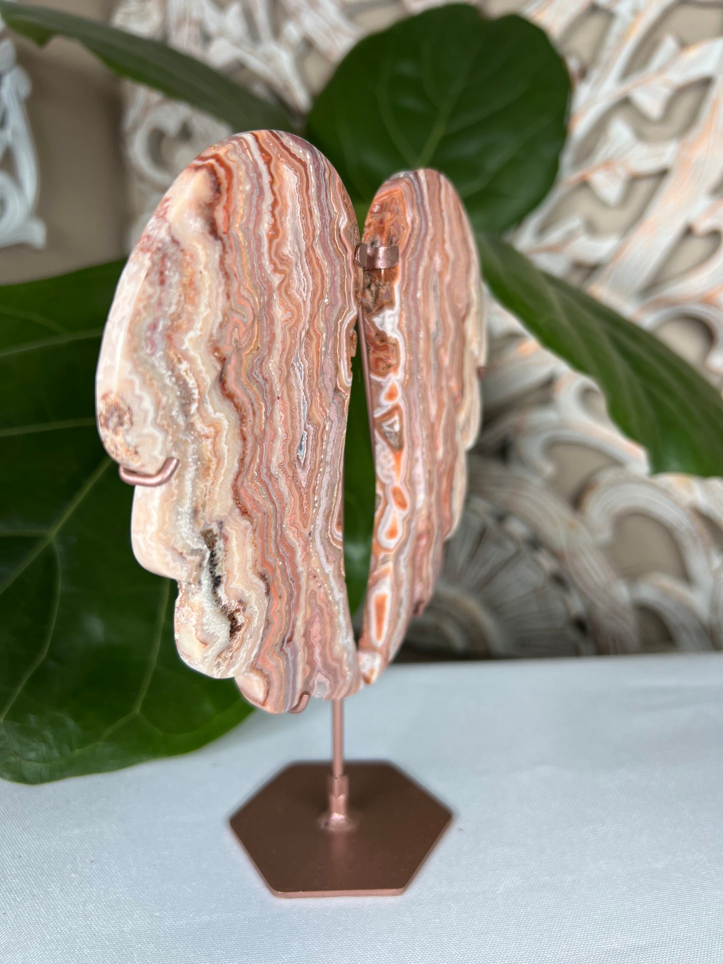 Crazy Lace Agate Wings