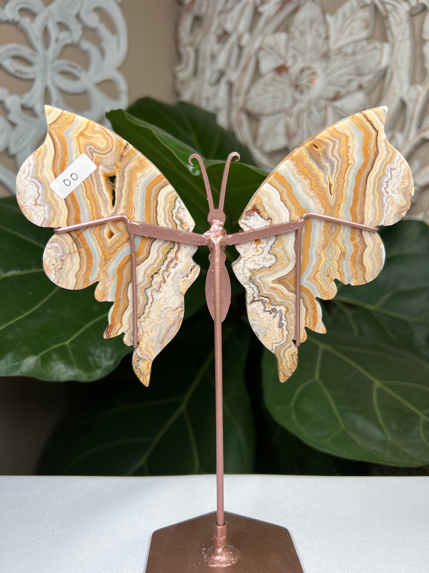 Crazy Lace Agate Wings