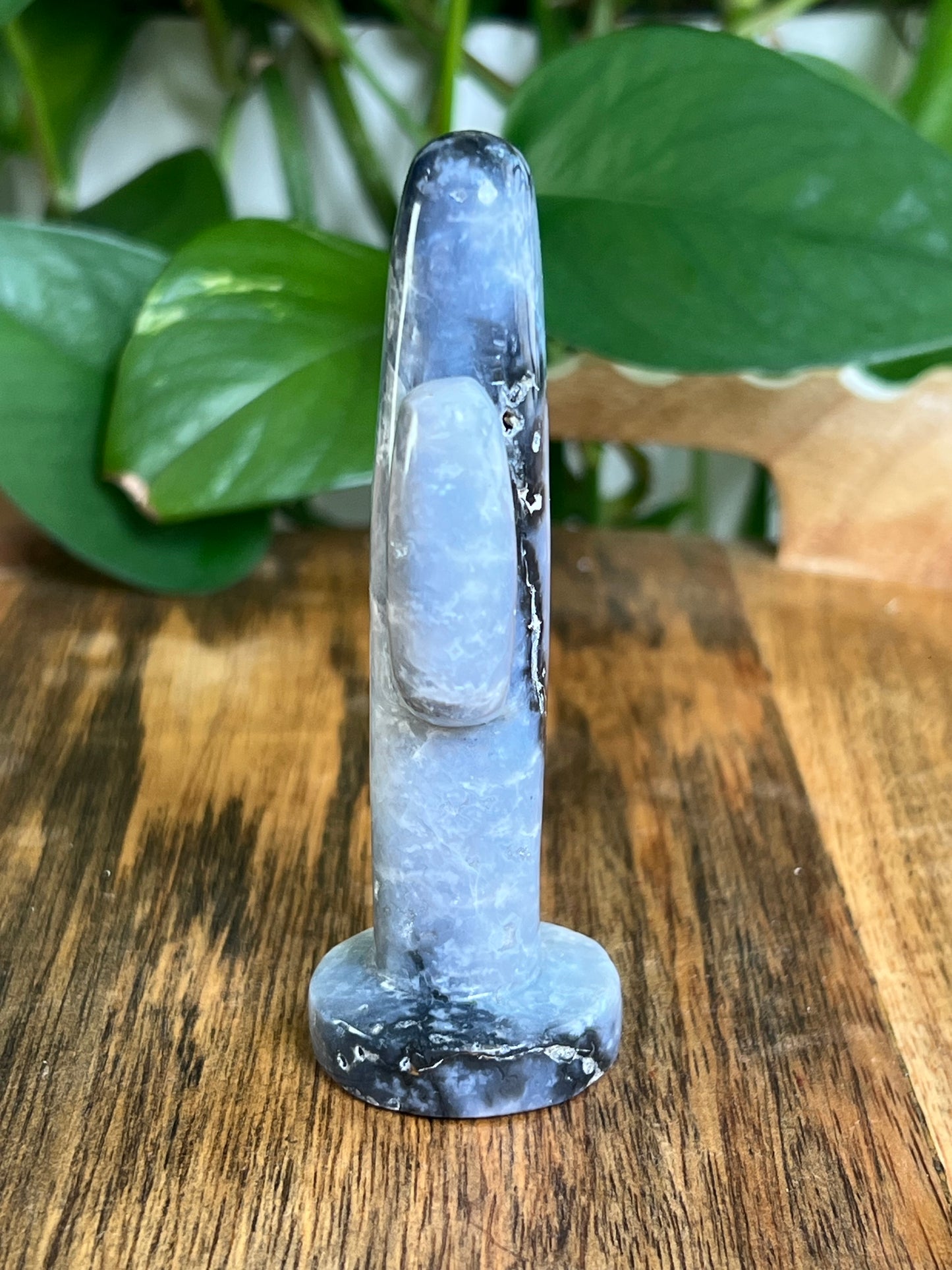 Blue Plume Agate Cactus: CA