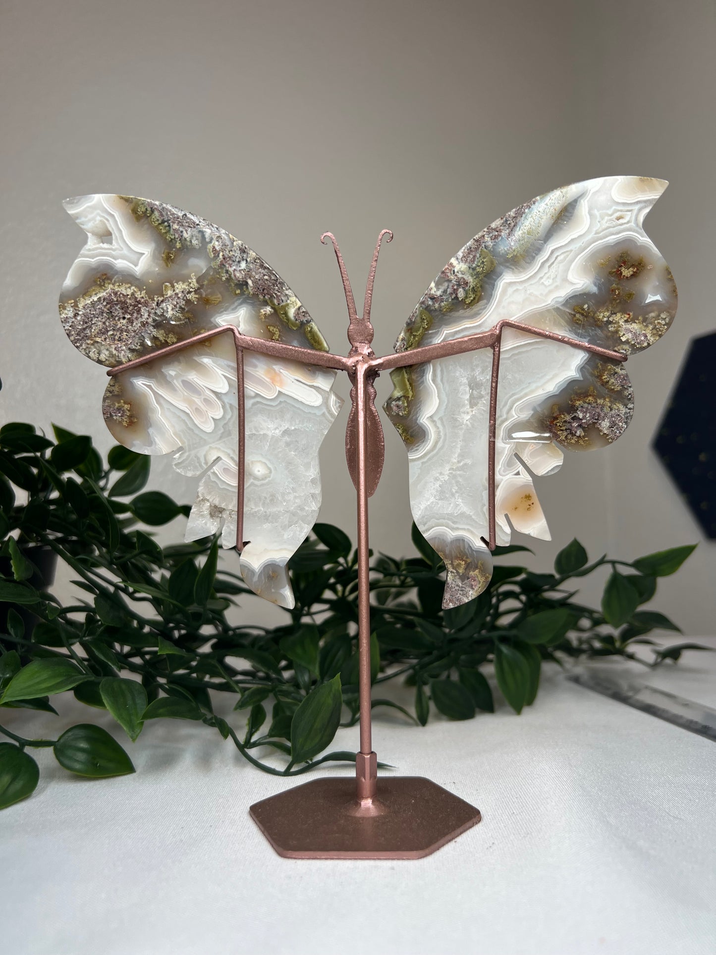 Scenic Moss Agate Wings