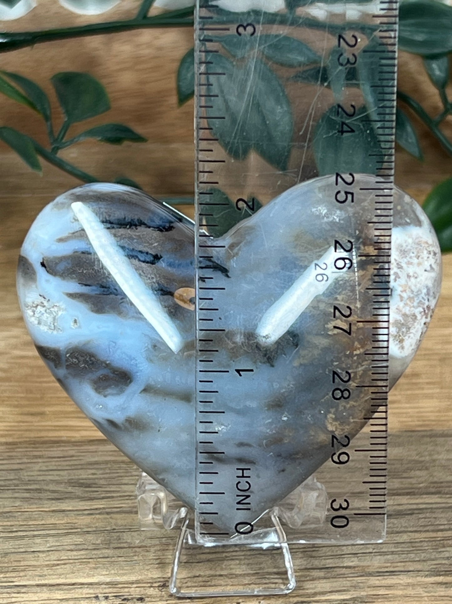 Dendritic Tiger Agate Heart